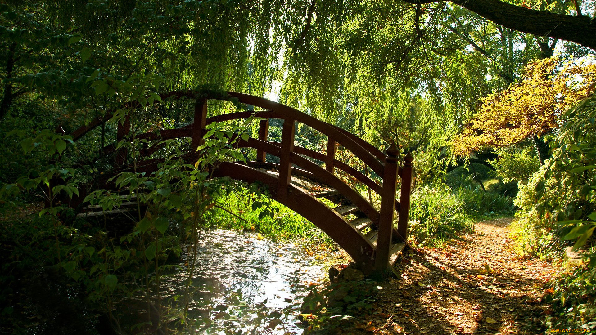 природа, реки, озера