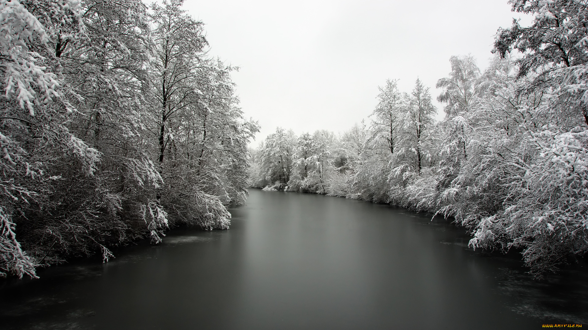 природа, реки, озера