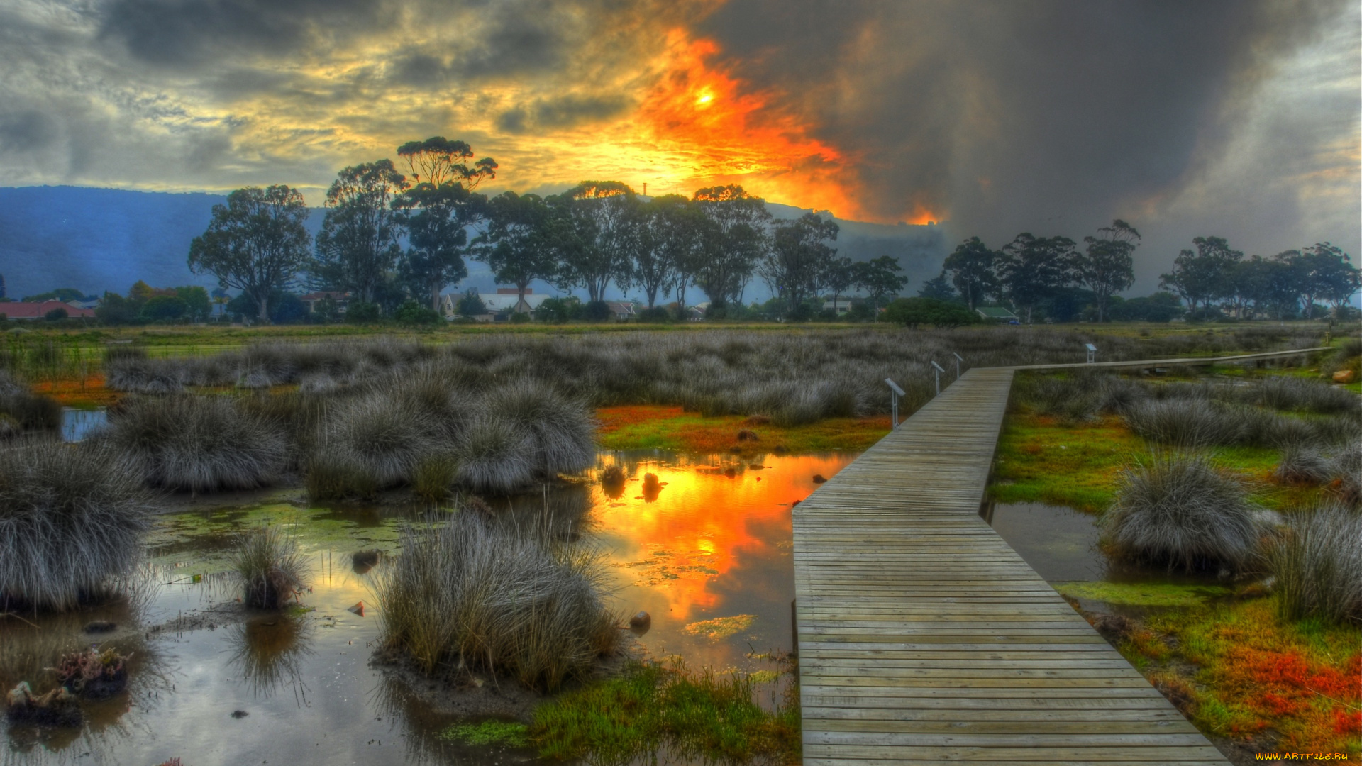 природа, восходы, закаты