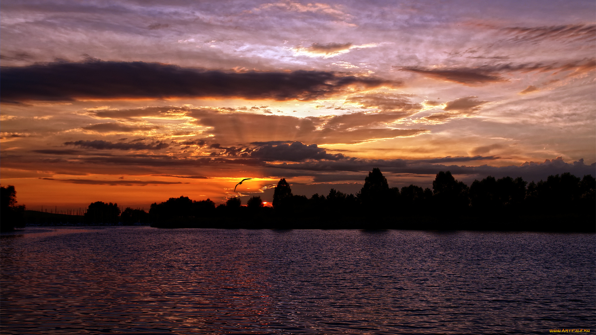 природа, восходы, закаты