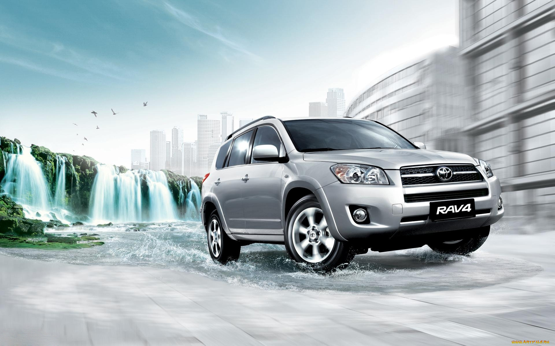 автомобили, toyota