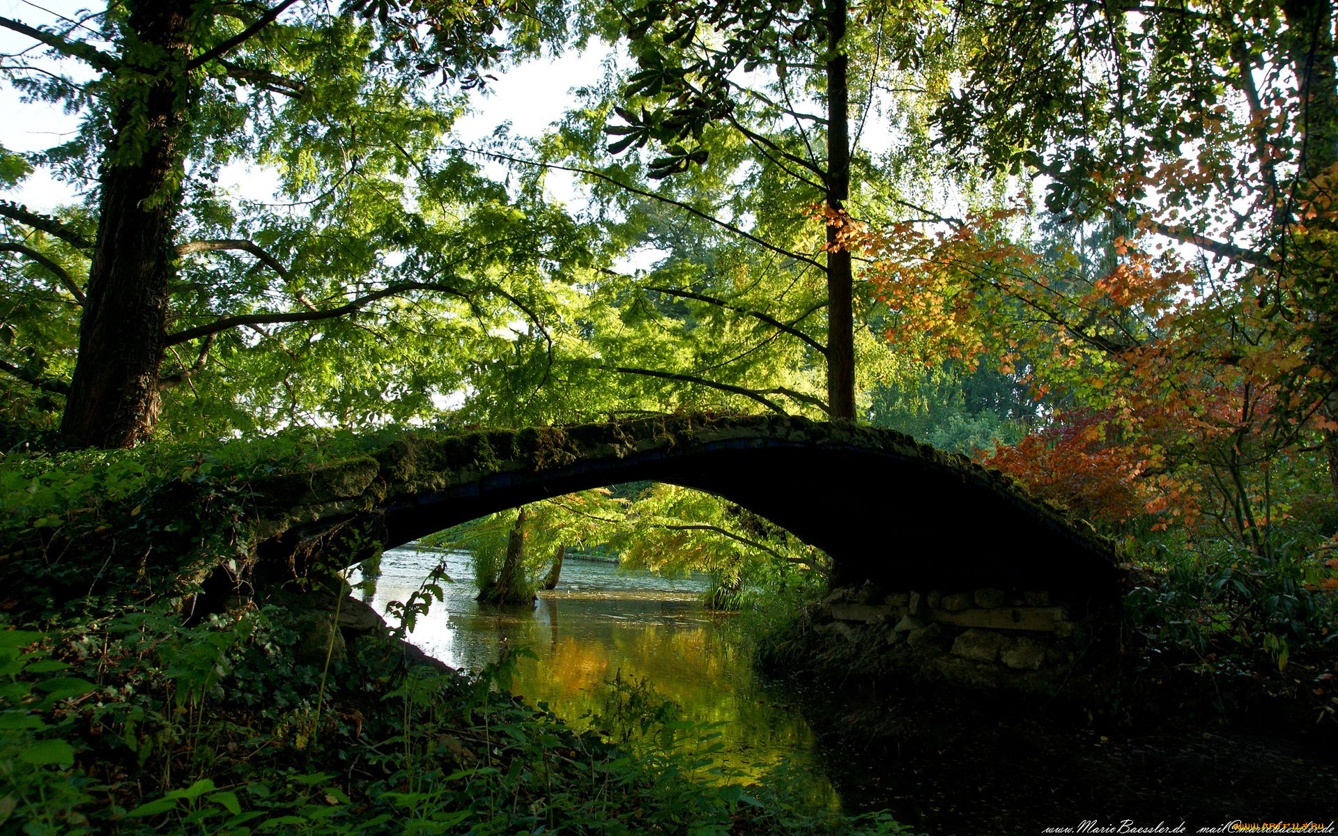 природа, реки, озера