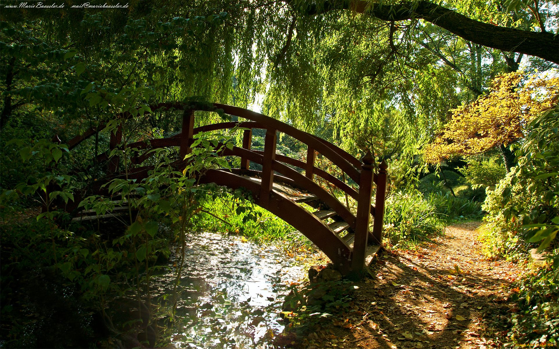 природа, реки, озера