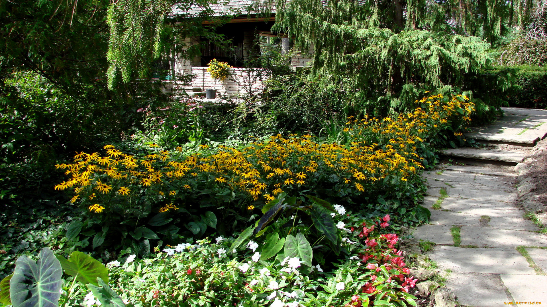 природа, парк, клумбы, дорожка