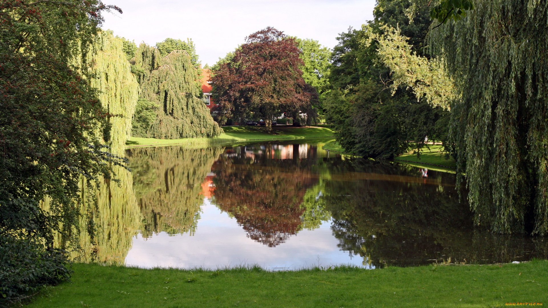 природа, парк, пруд, деревья