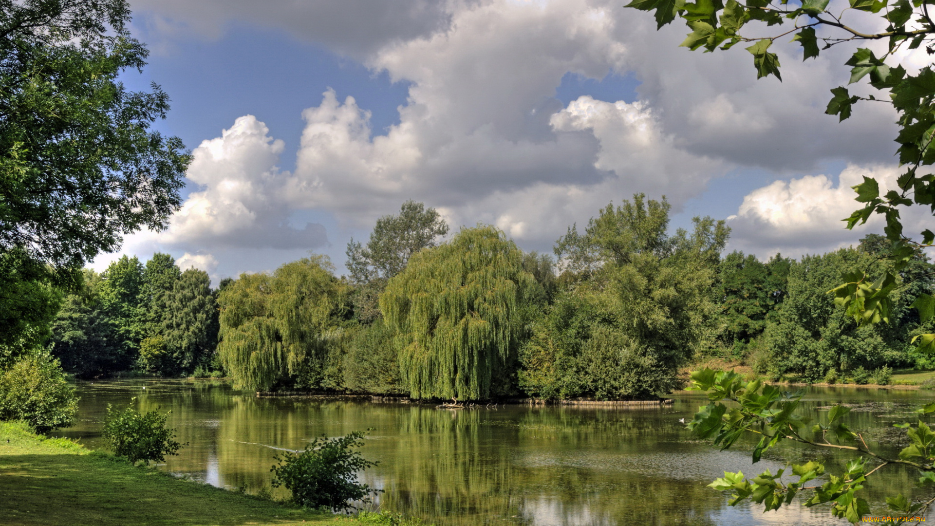 природа, реки, озера, деревья, берег, река, лето