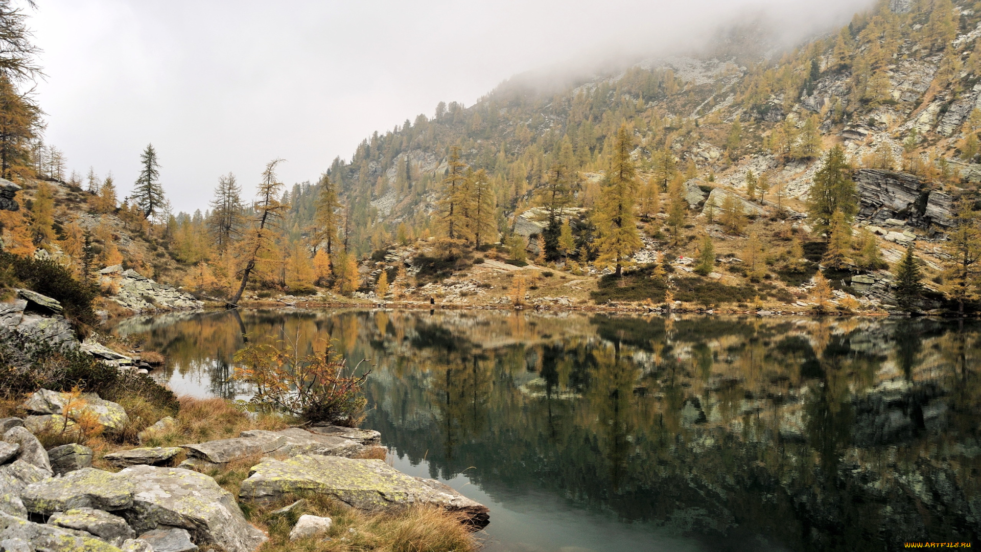 природа, реки, озера, озеро, туман