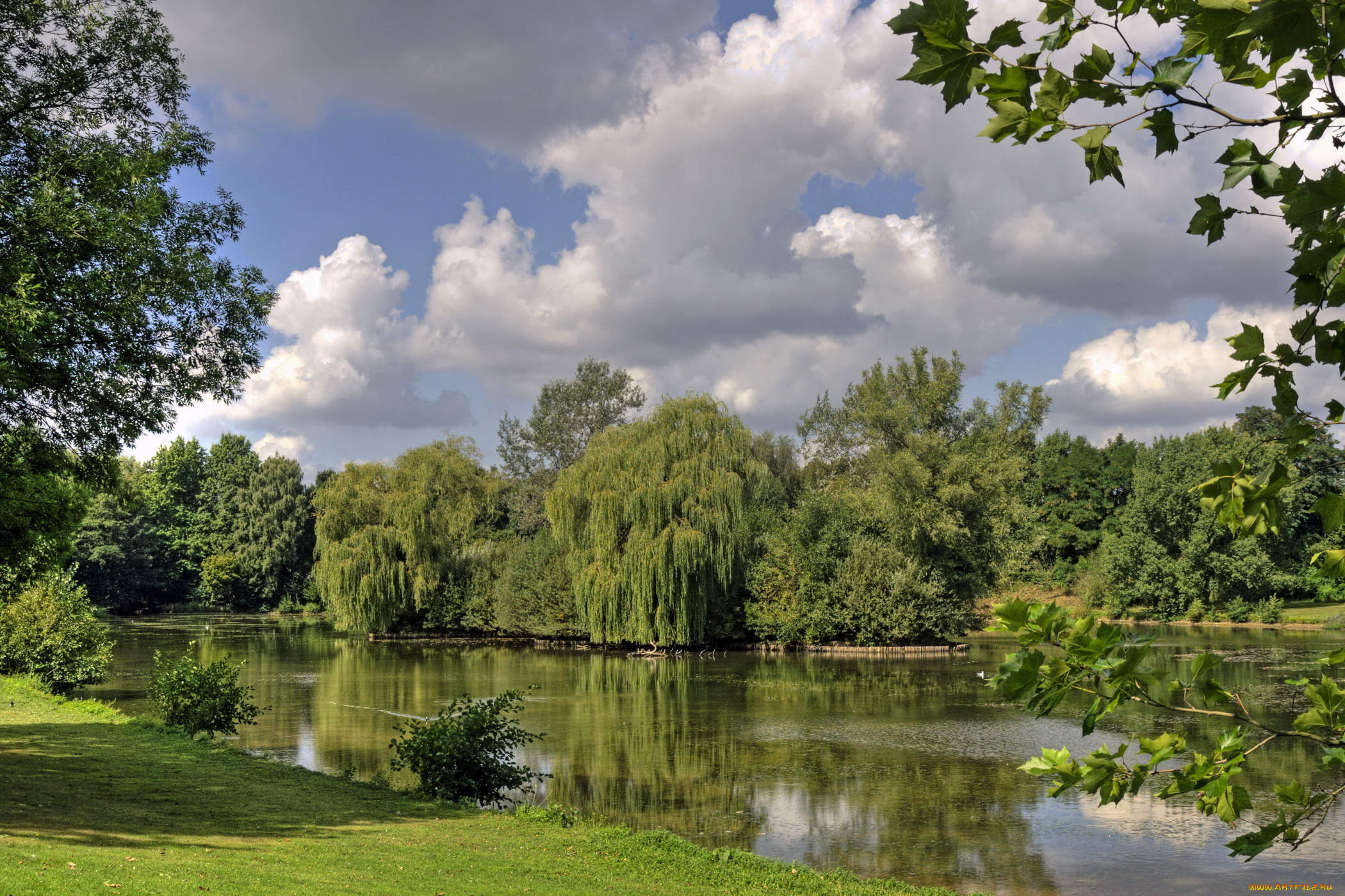 природа, реки, озера, деревья, берег, река, лето