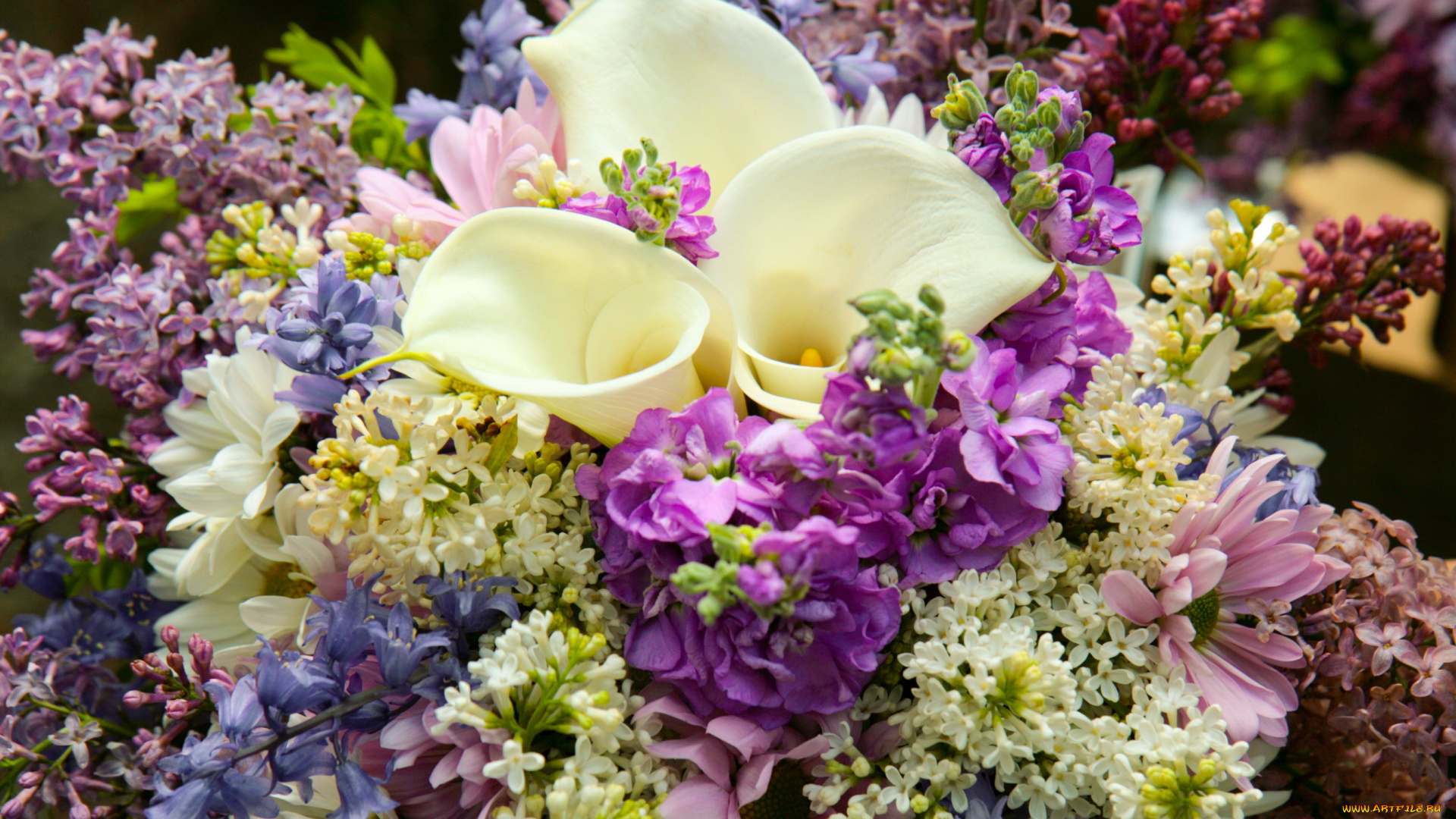 цветы, букеты, композиции, калы, сирень, букет