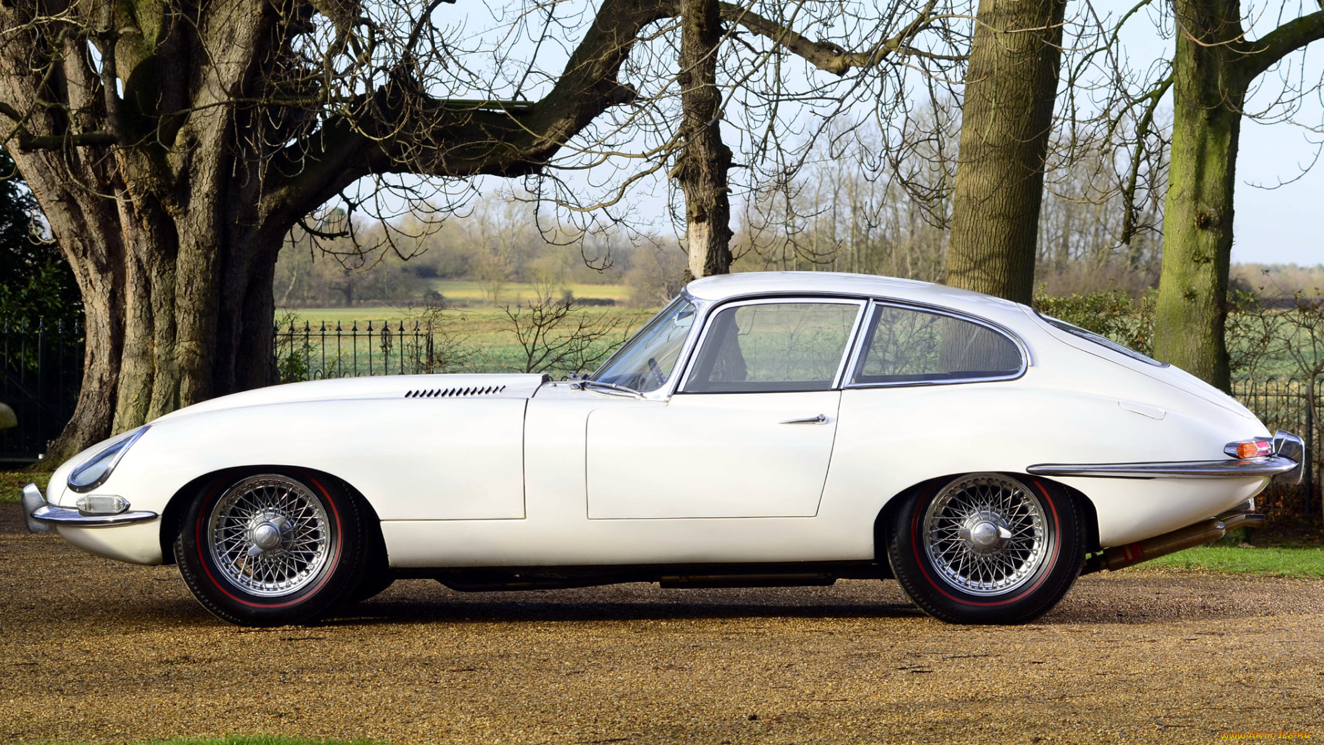 jaguar, type, автомобили, класс-люкс, tata, motors, великобритания