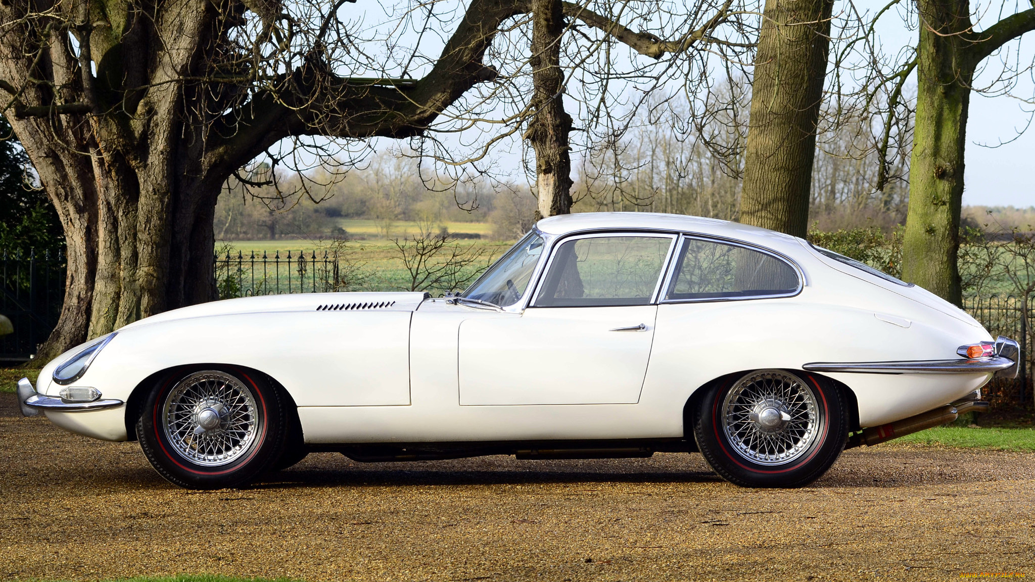 jaguar, type, автомобили, класс-люкс, tata, motors, великобритания