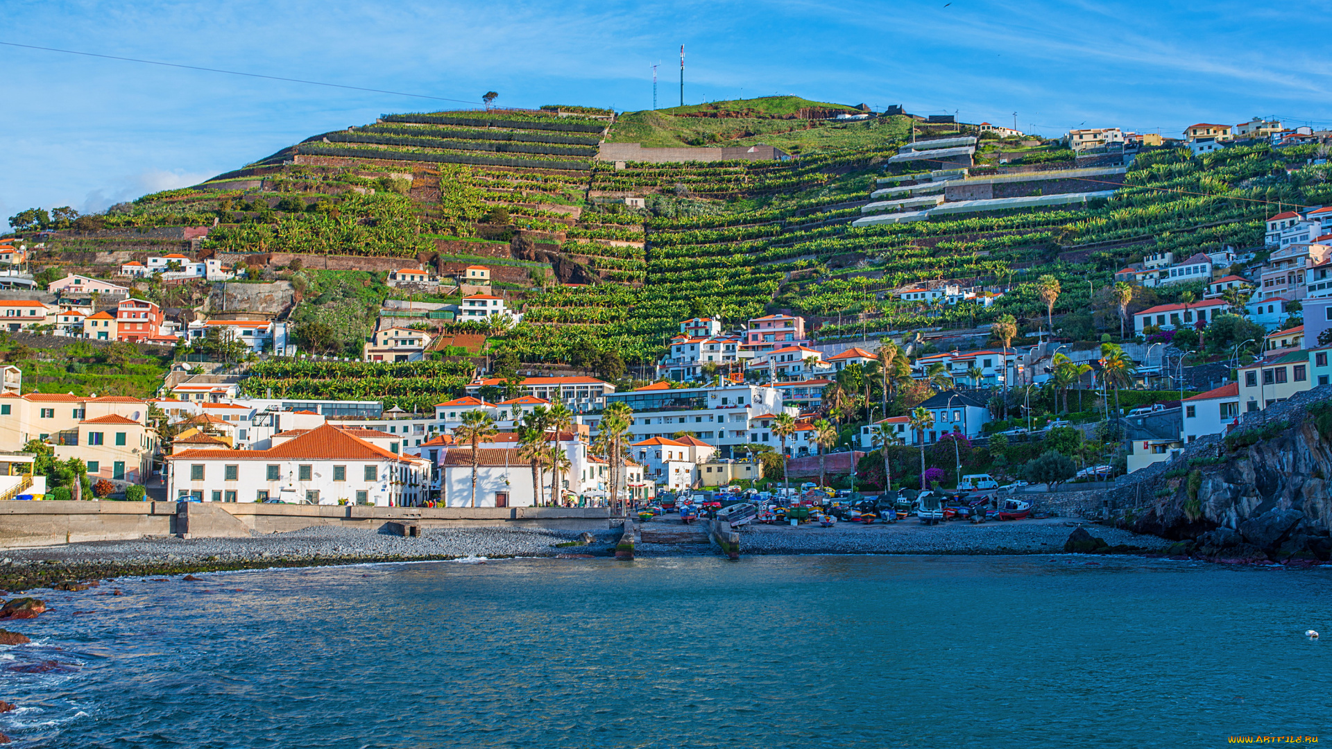 camara, de, lobos, мадейра, , португалия, города, -, улицы, , площади, , набережные, мадейра, madeira, camara, de, lobos, побережье, море, дома, португалия