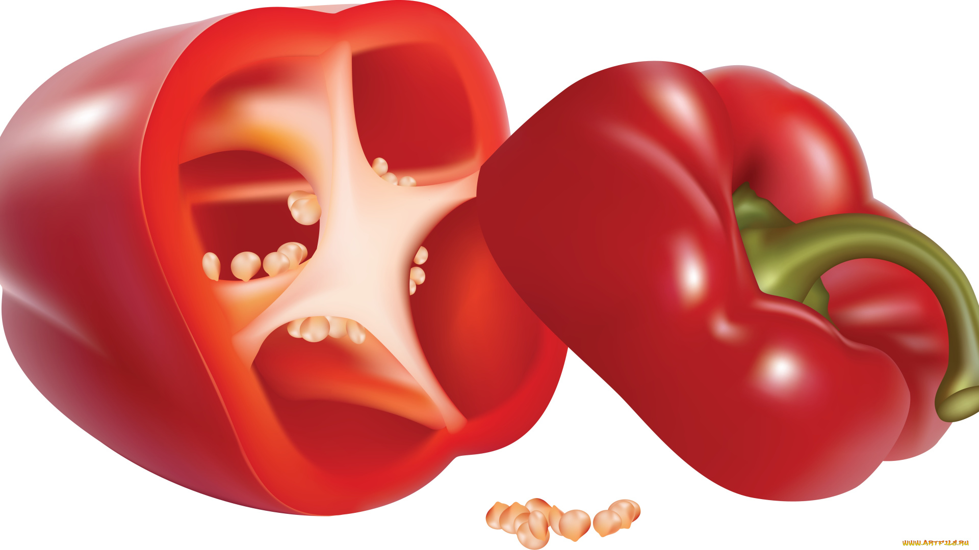 векторная, графика, перец