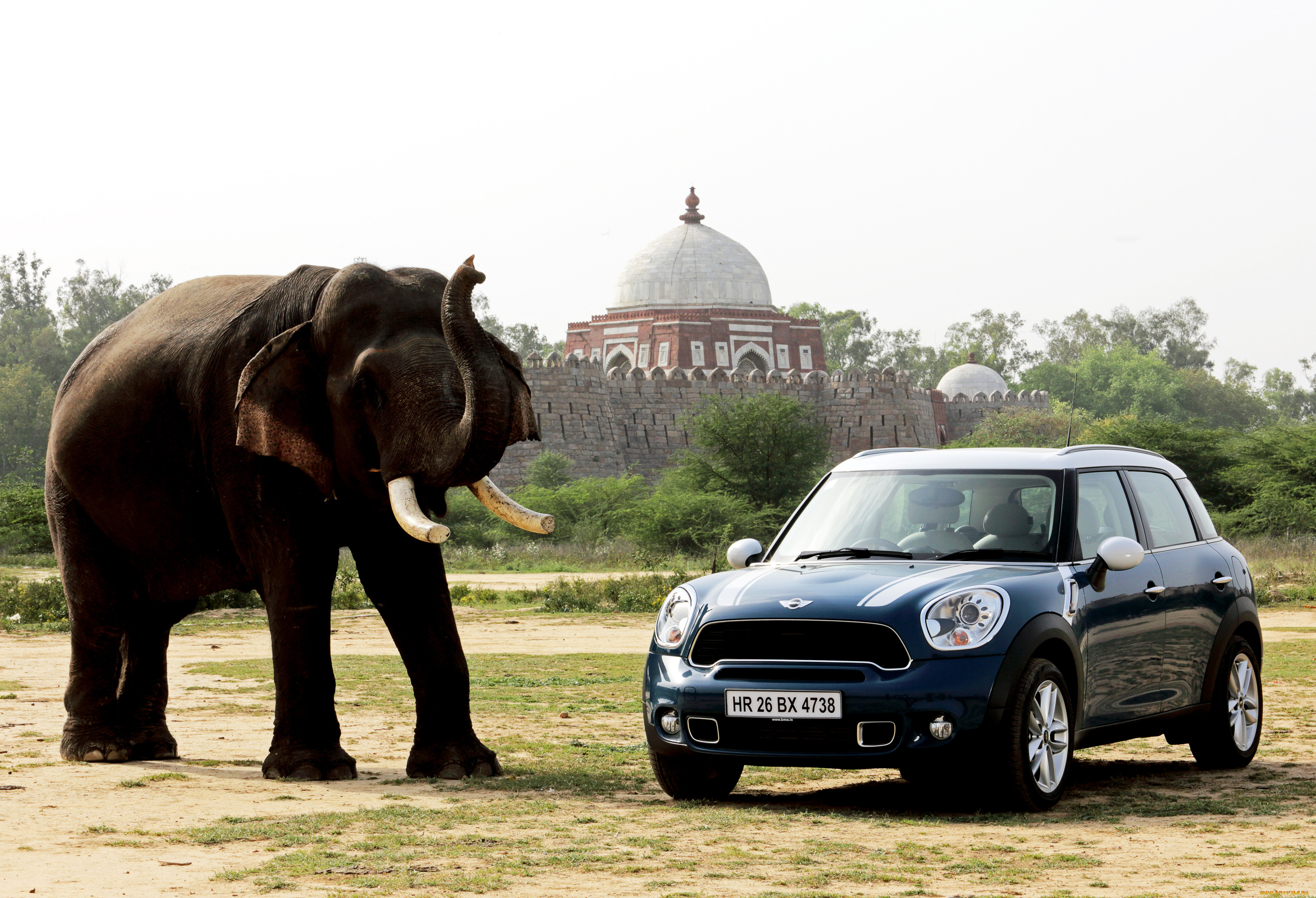 автомобили, mini