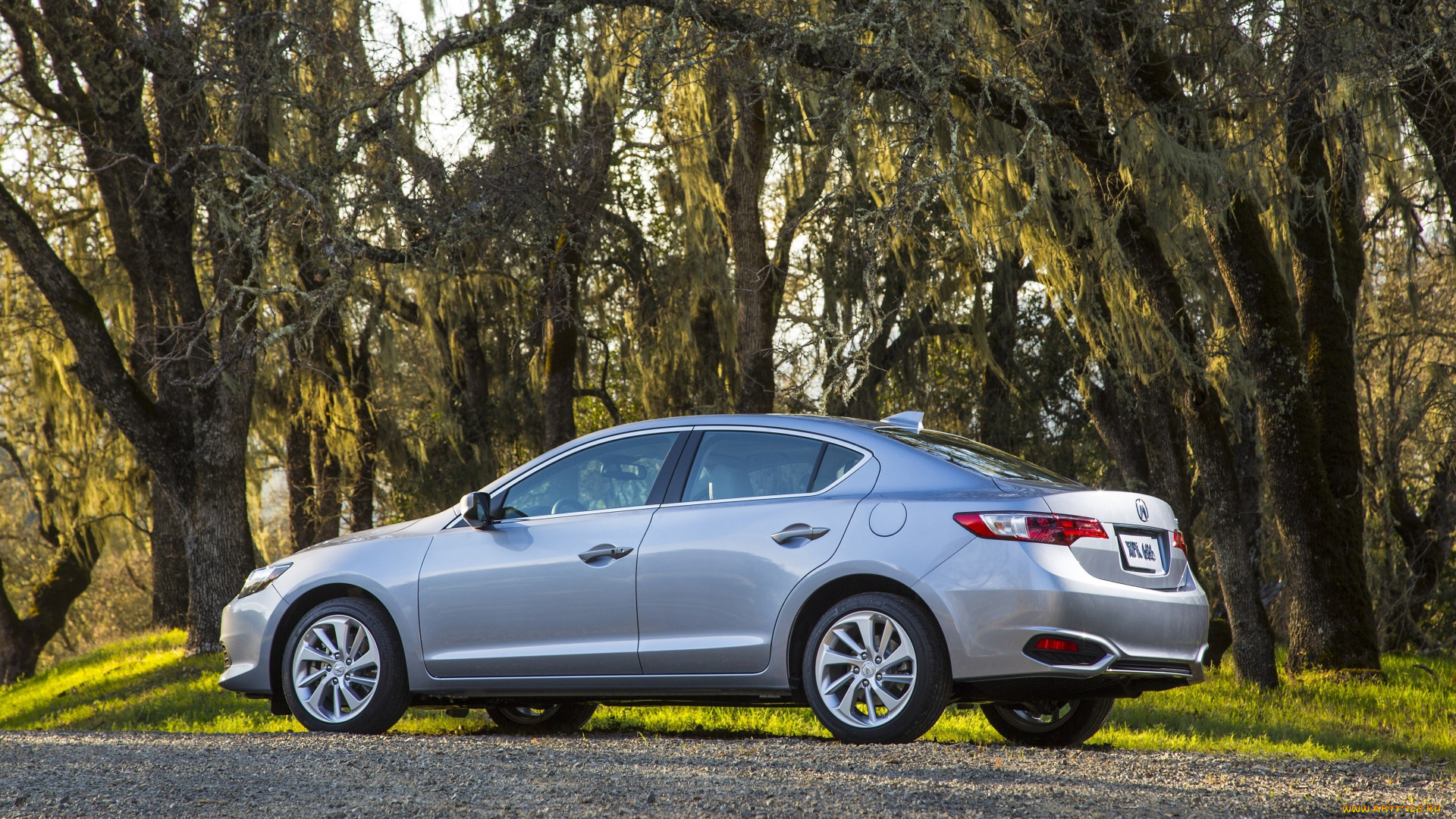 автомобили, acura, ilx, 2016, г