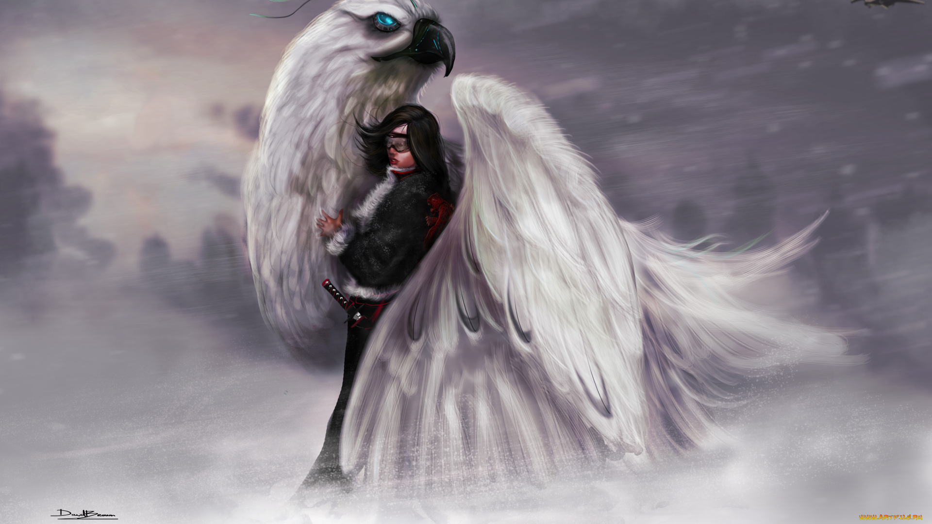 фэнтези, красавицы, и, чудовища, самолет, защита, девушка, вьюга, буря, снег, птица