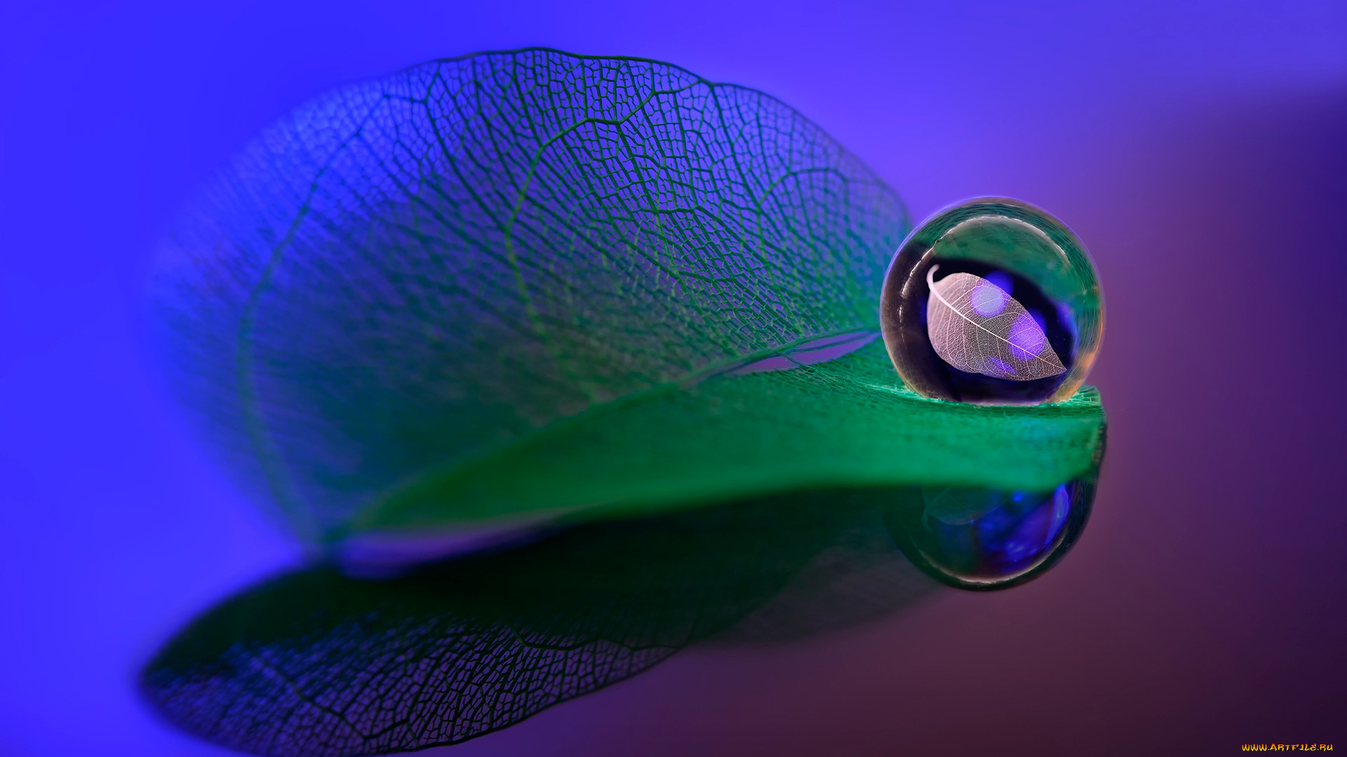 разное, капли, , брызги, , всплески, прожилки, лист, капля