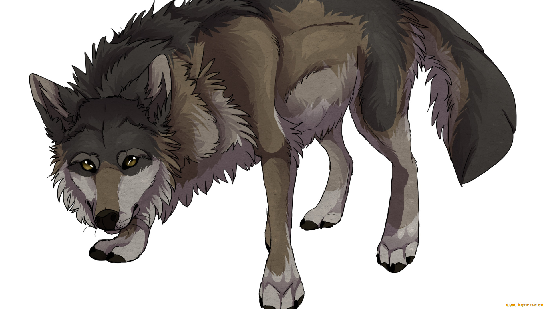 рисованное, животные, , волки, фон, взгляд, волк