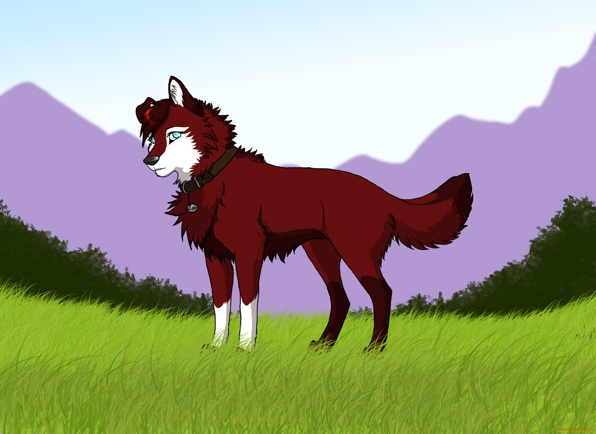 рисованное, животные, , собаки, горы, собака, взгляд