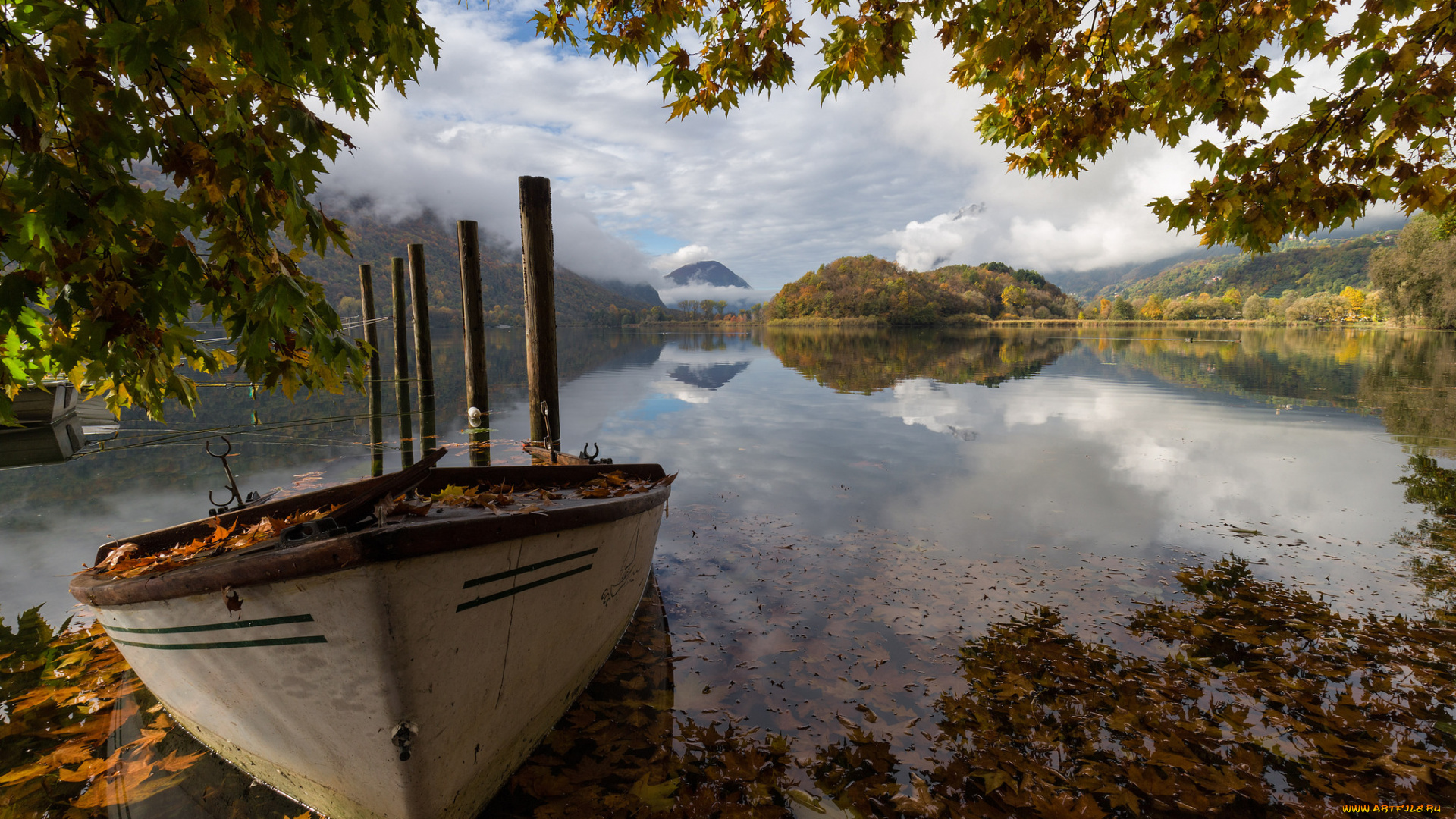 корабли, лодки, , шлюпки, лес, река