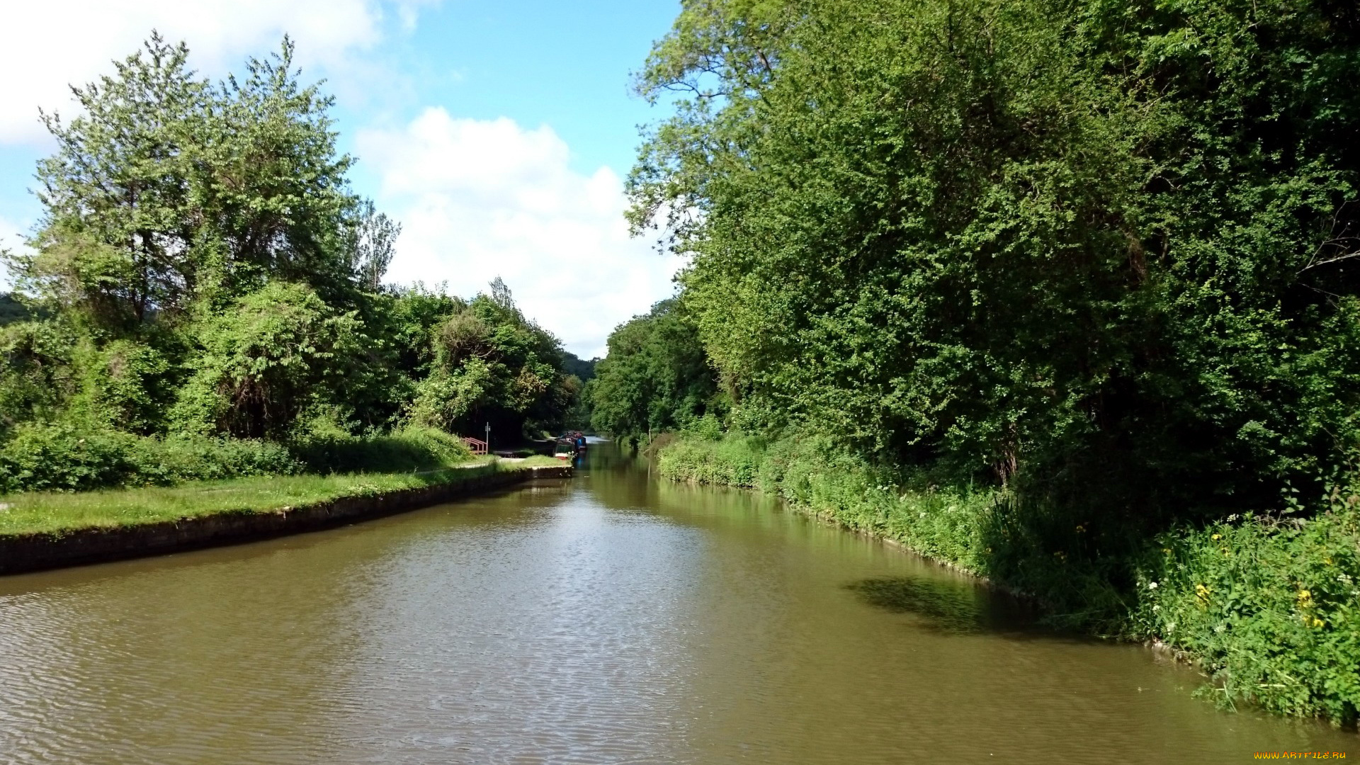 природа, реки, озера, деревья, берега