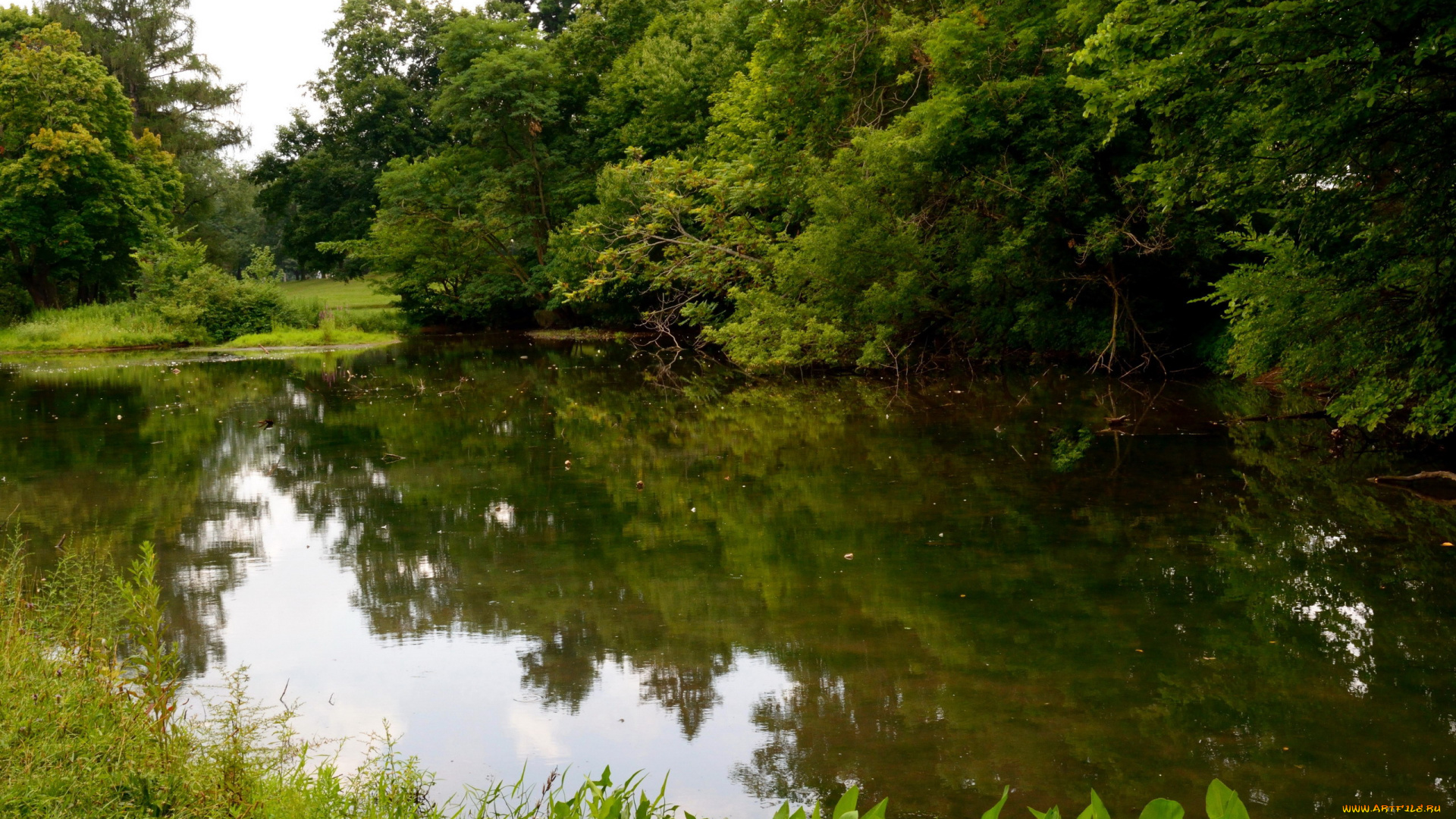 природа, реки, озера, отражение