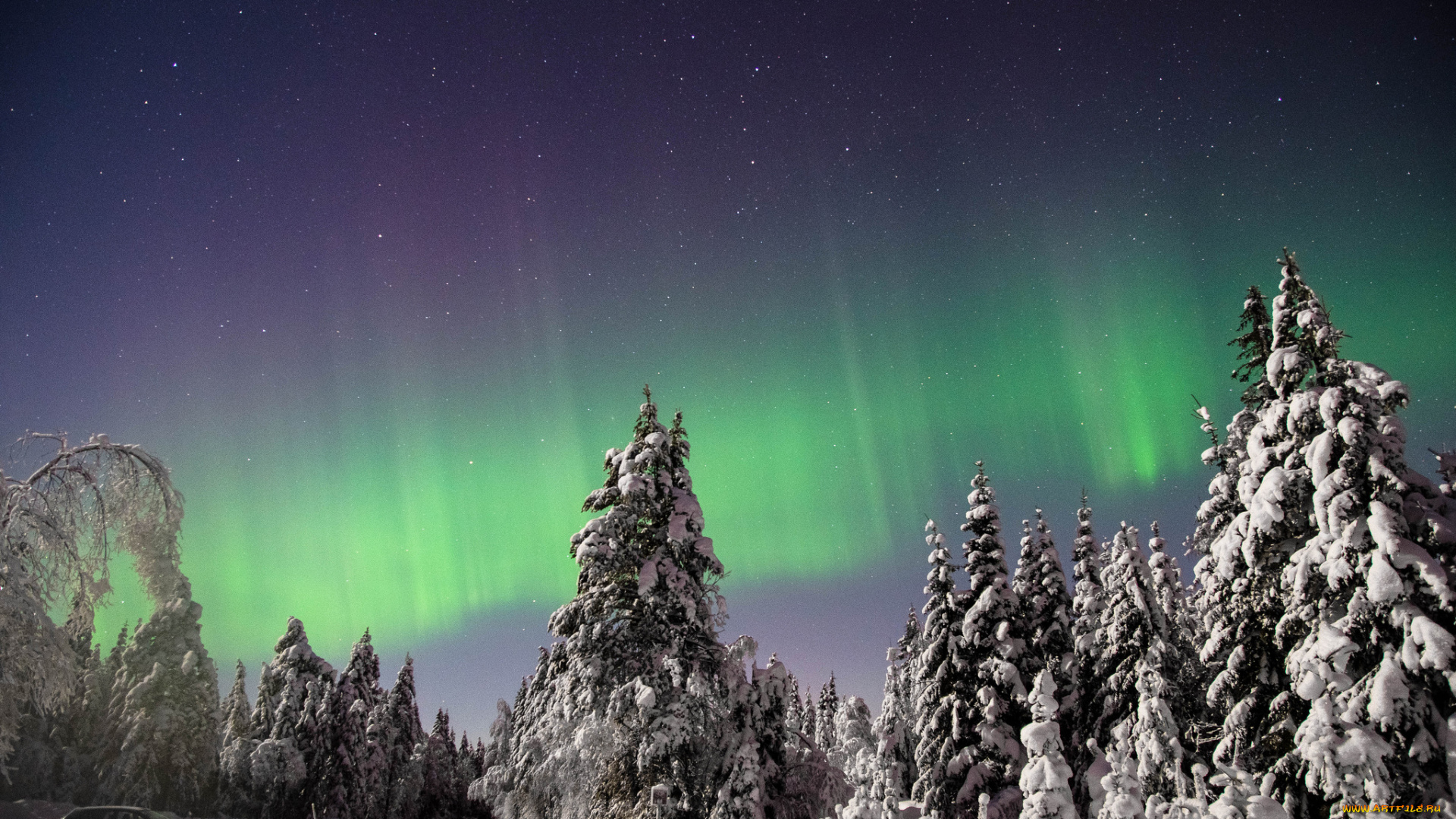 природа, северное, сияние, ночь, сполохи