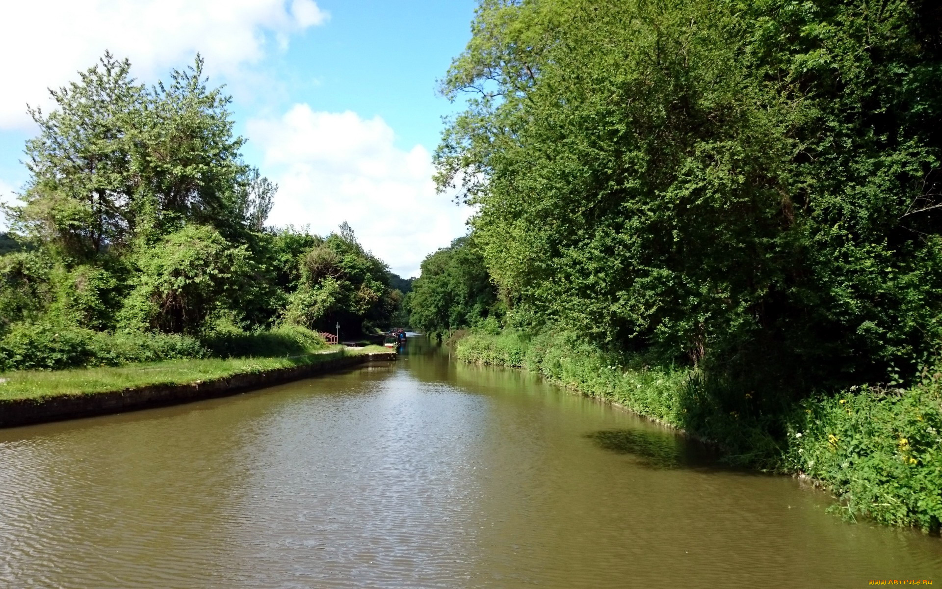 природа, реки, озера, деревья, берега