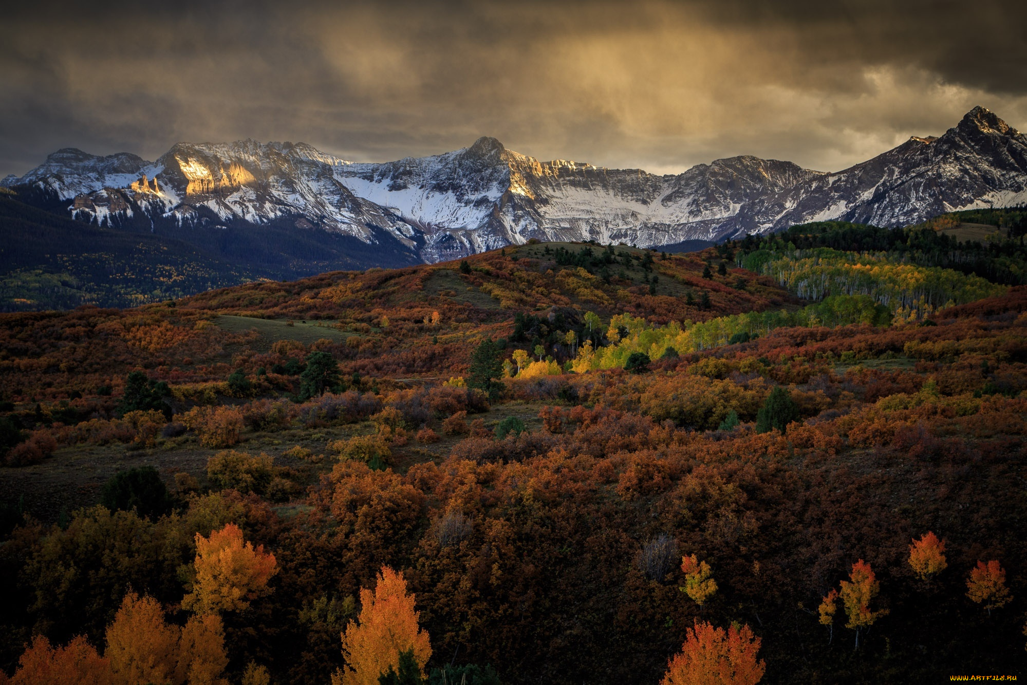 природа, горы, лес, деревья, закат, небо, тучи