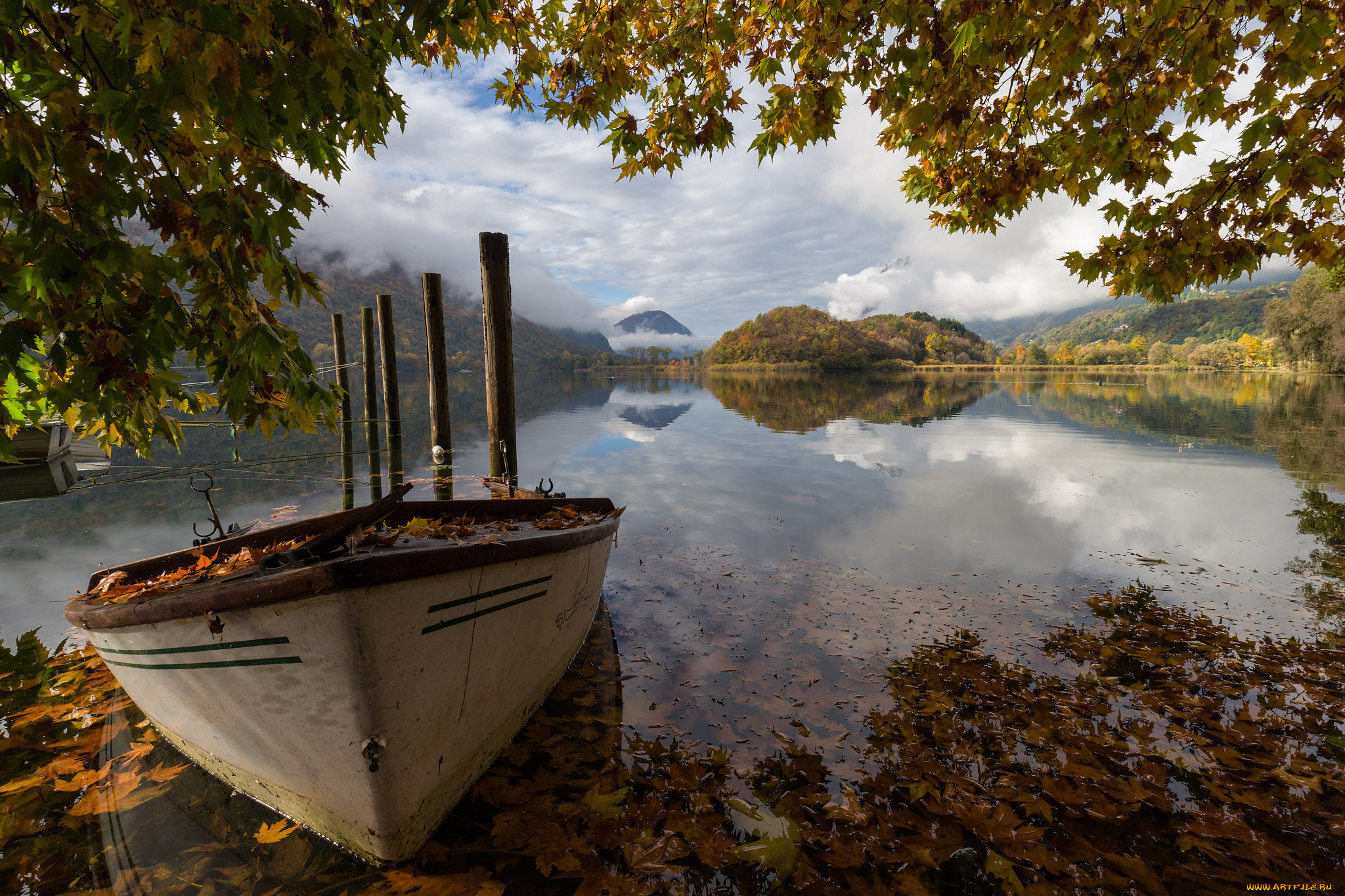 корабли, лодки, , шлюпки, лес, река