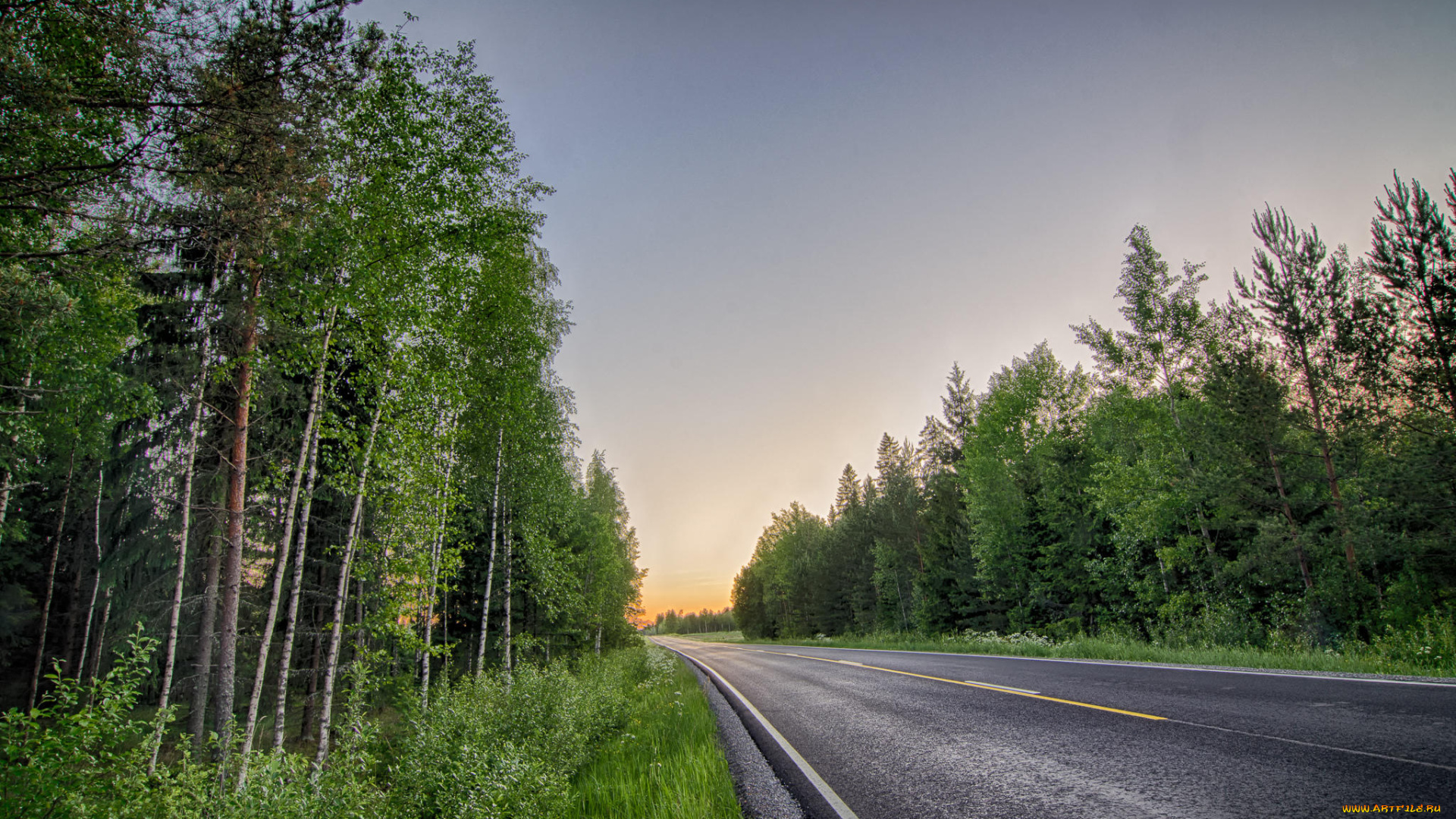 природа, дороги, дорога, деревья, лес, пейзаж, закат