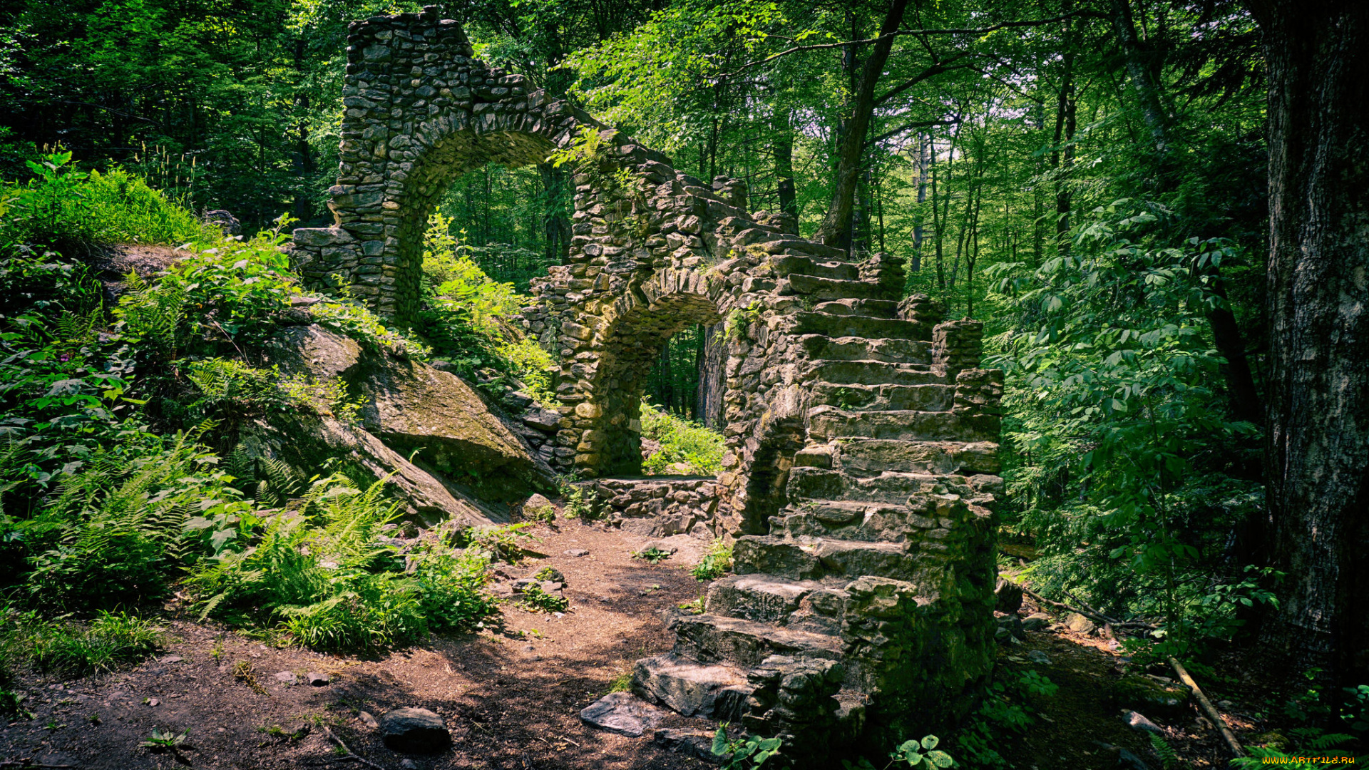 природа, лес, деревья