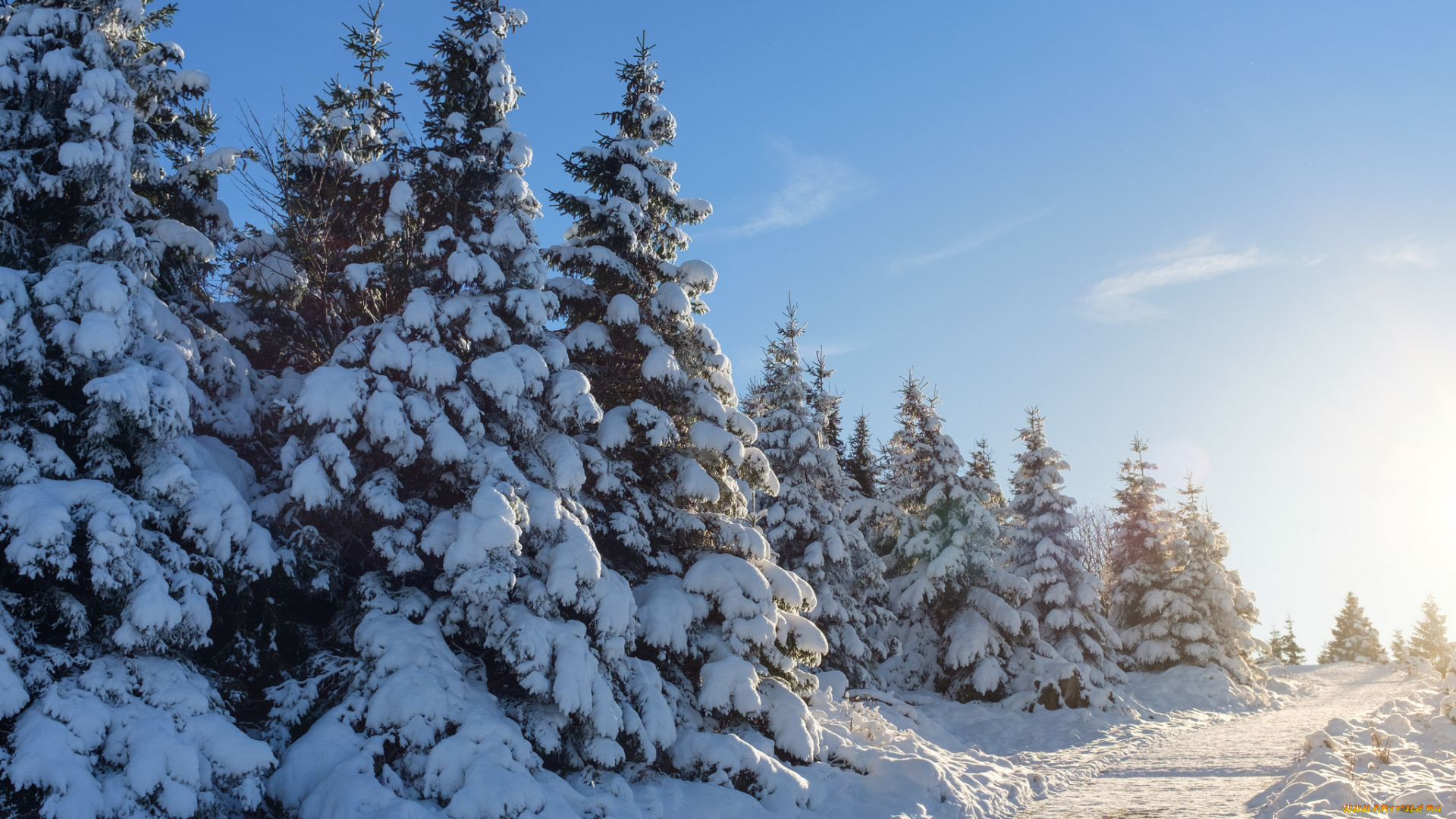 природа, зима, снег