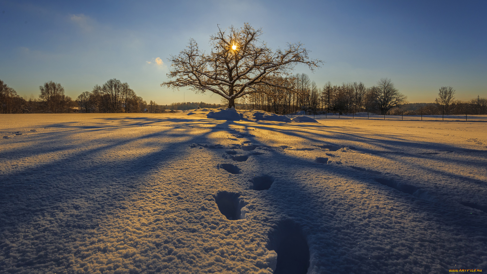 природа, зима, снег