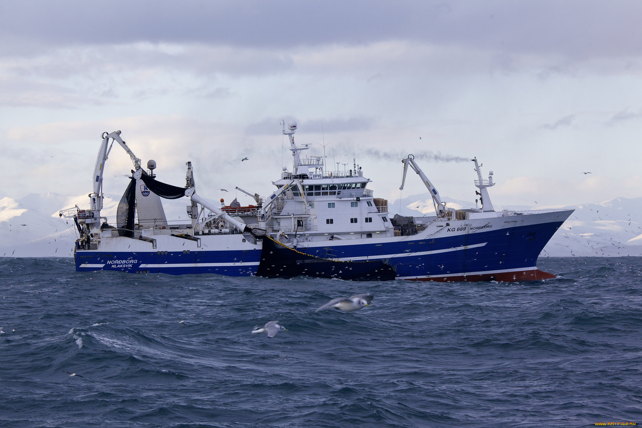 корабли, другое, рыболов