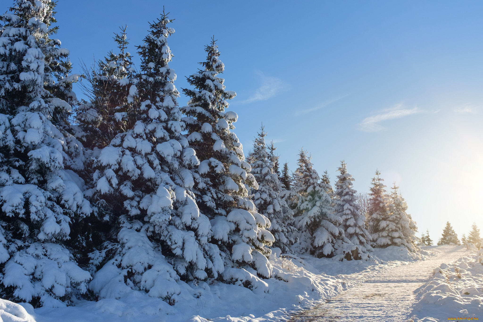 природа, зима, снег