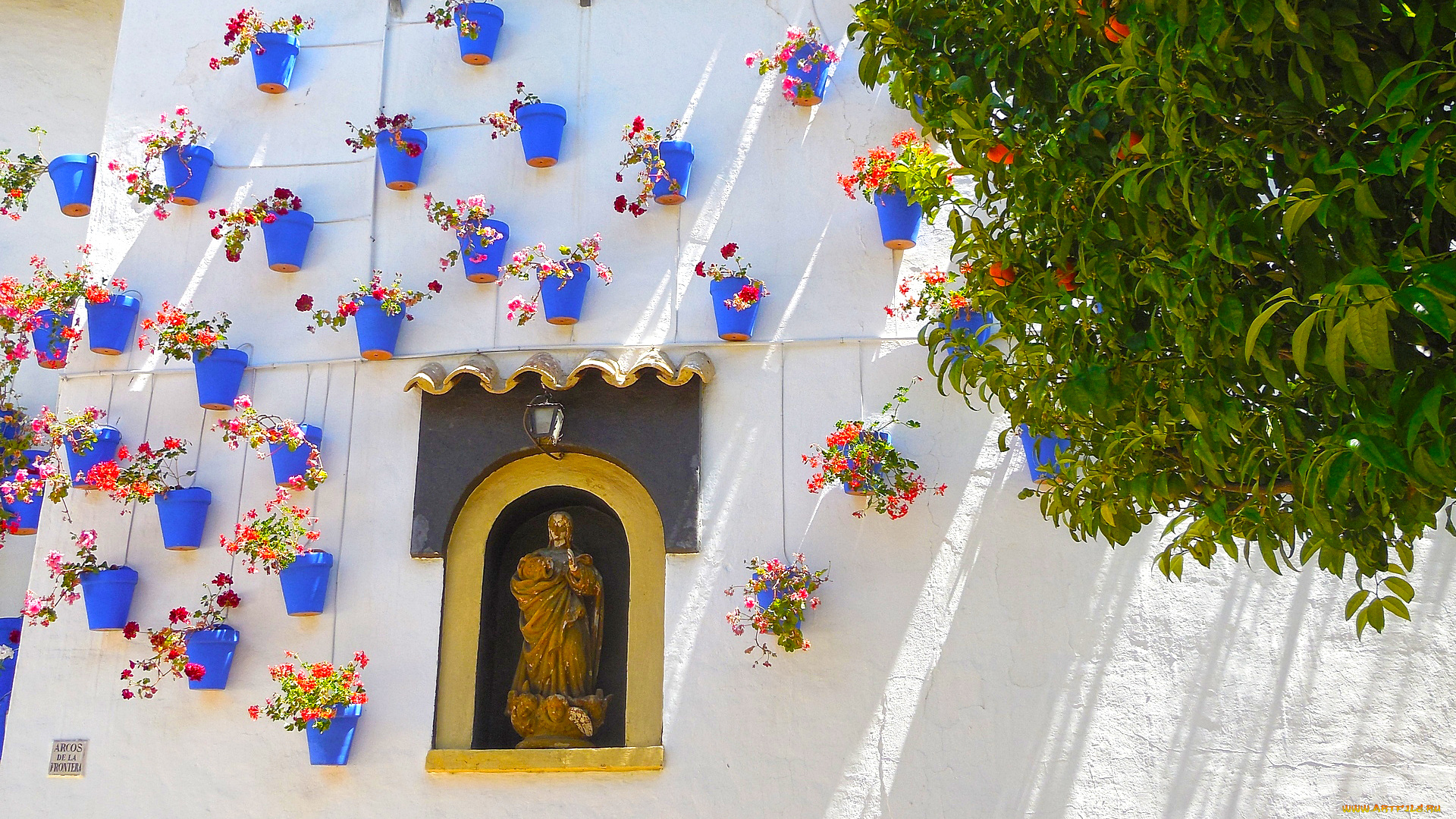 барселона, города, -, другое, дерево, цветы, скульптура