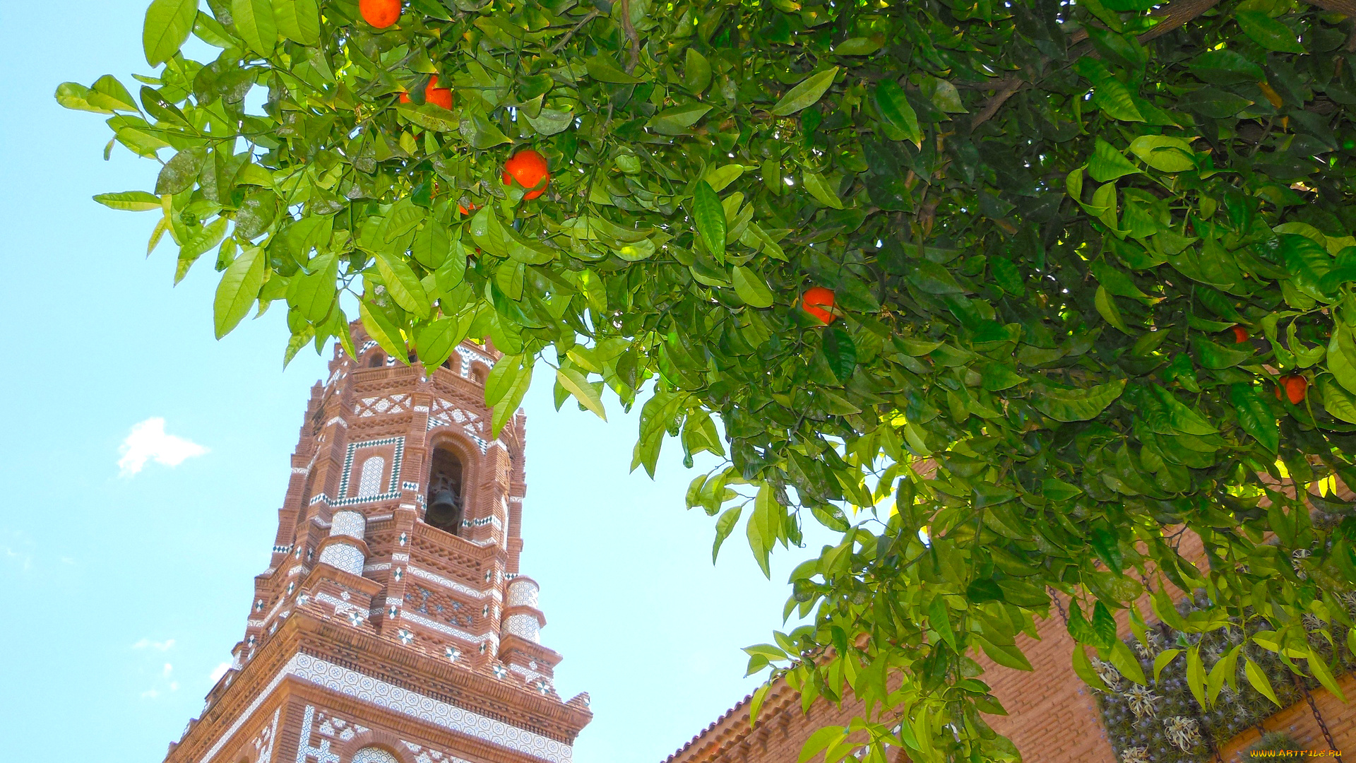 барселона, города, барселона, , испания, растение, здание