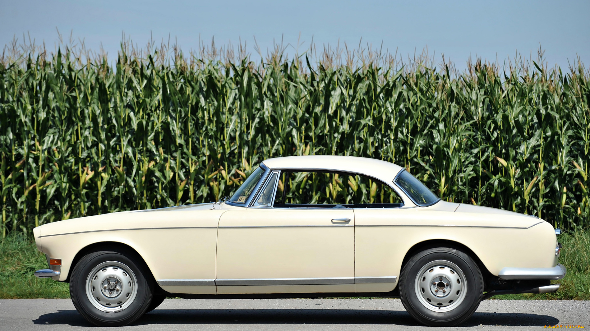 bmw, 503, coupe, by, ghia, aigle, 1956, автомобили, bmw, 1956, aigle, ghia, coupe, 503