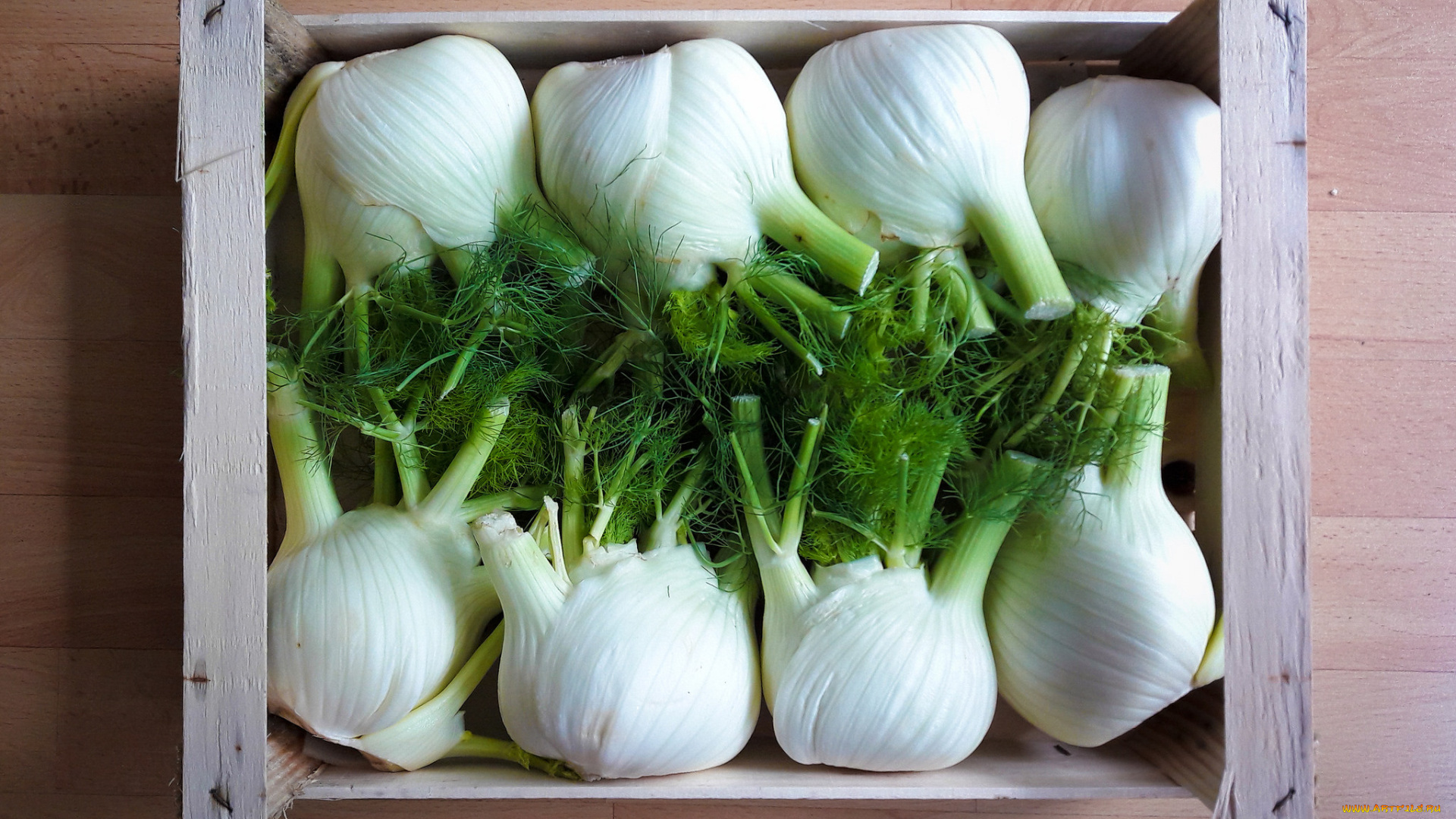 еда, лук, снедь