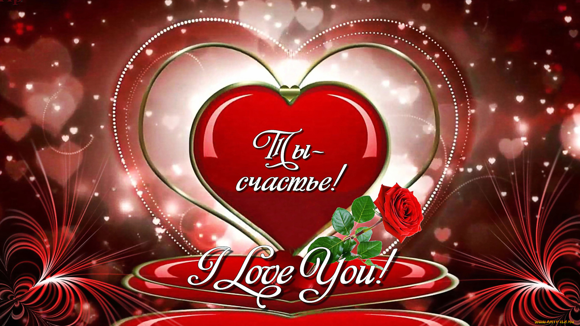 праздничные, день, святого, валентина, , сердечки, , любовь, счастье, ты, роза, сердечко, любовь