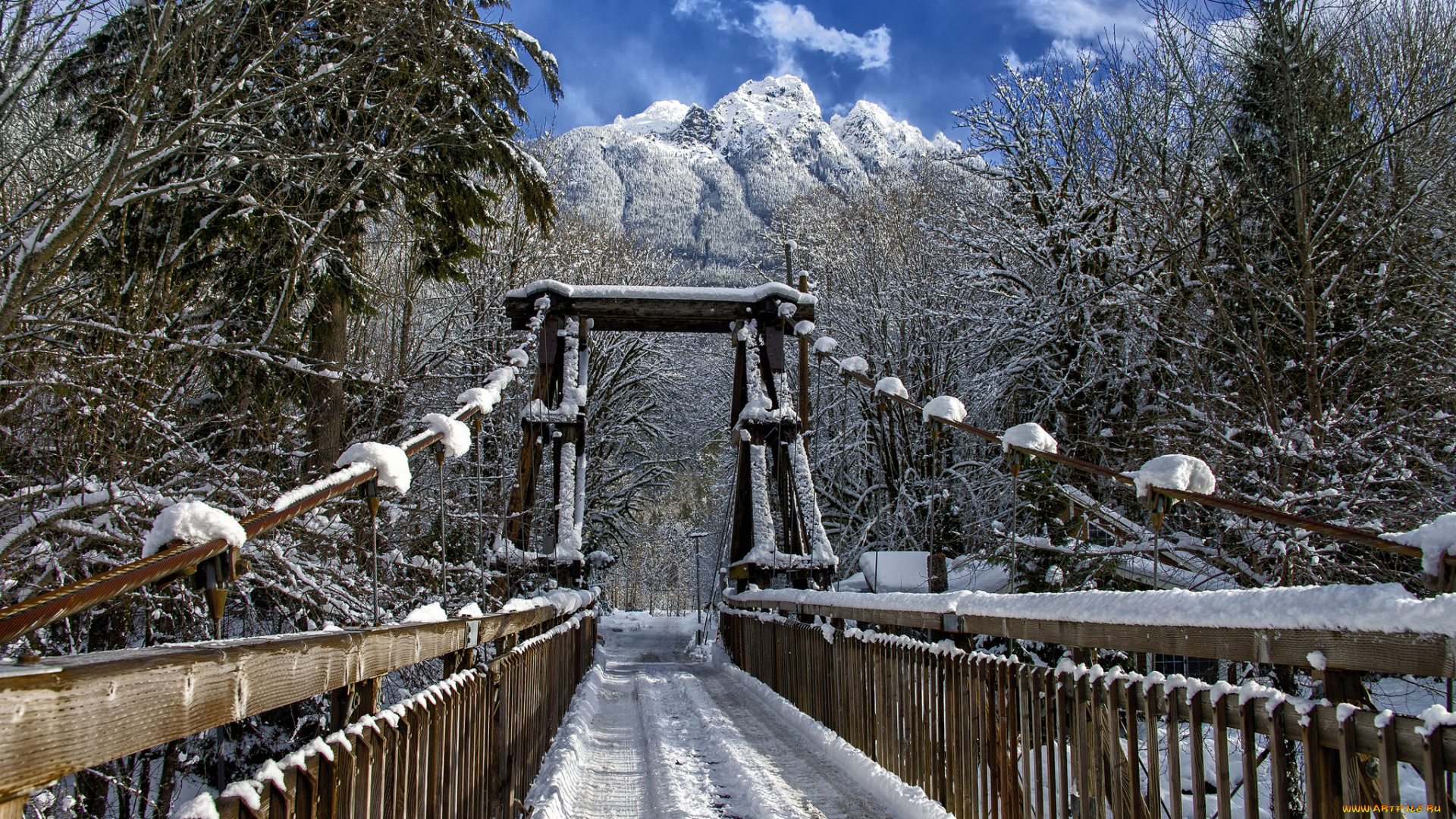 природа, дороги, простор