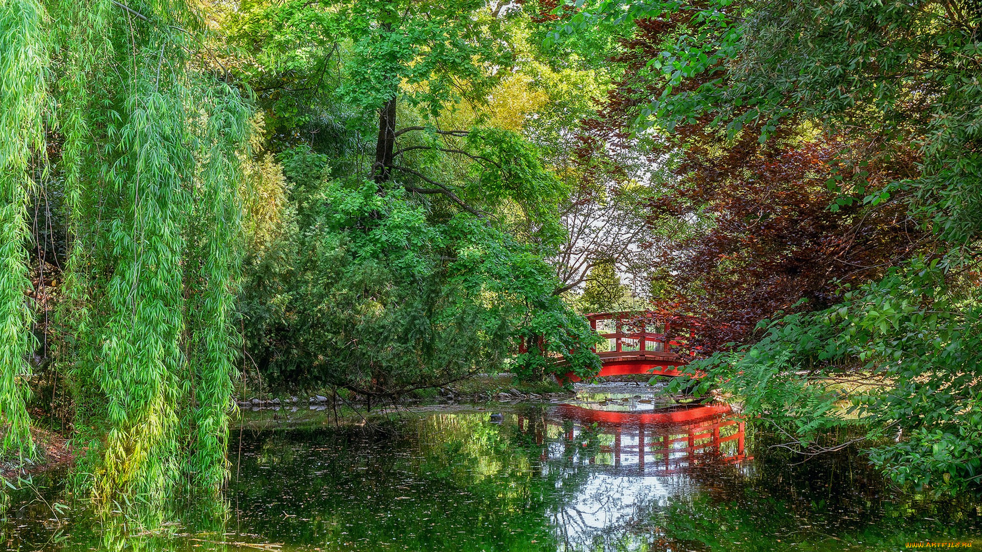 природа, парк, простор