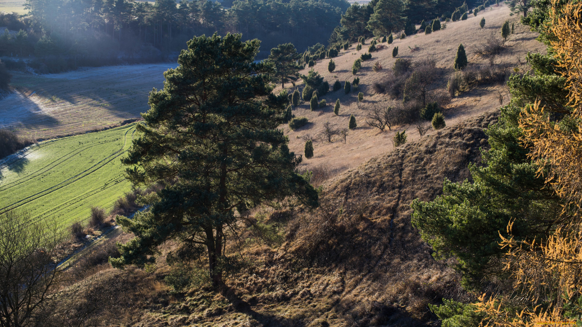 природа, пейзажи, простор