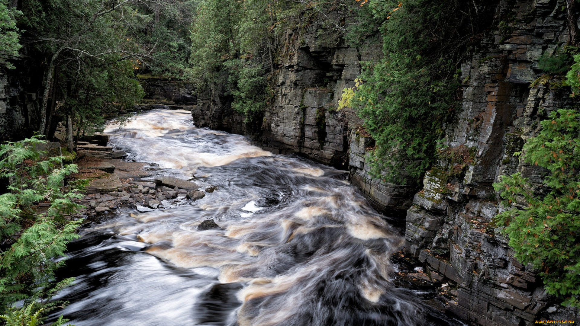 природа, реки, озера, простор