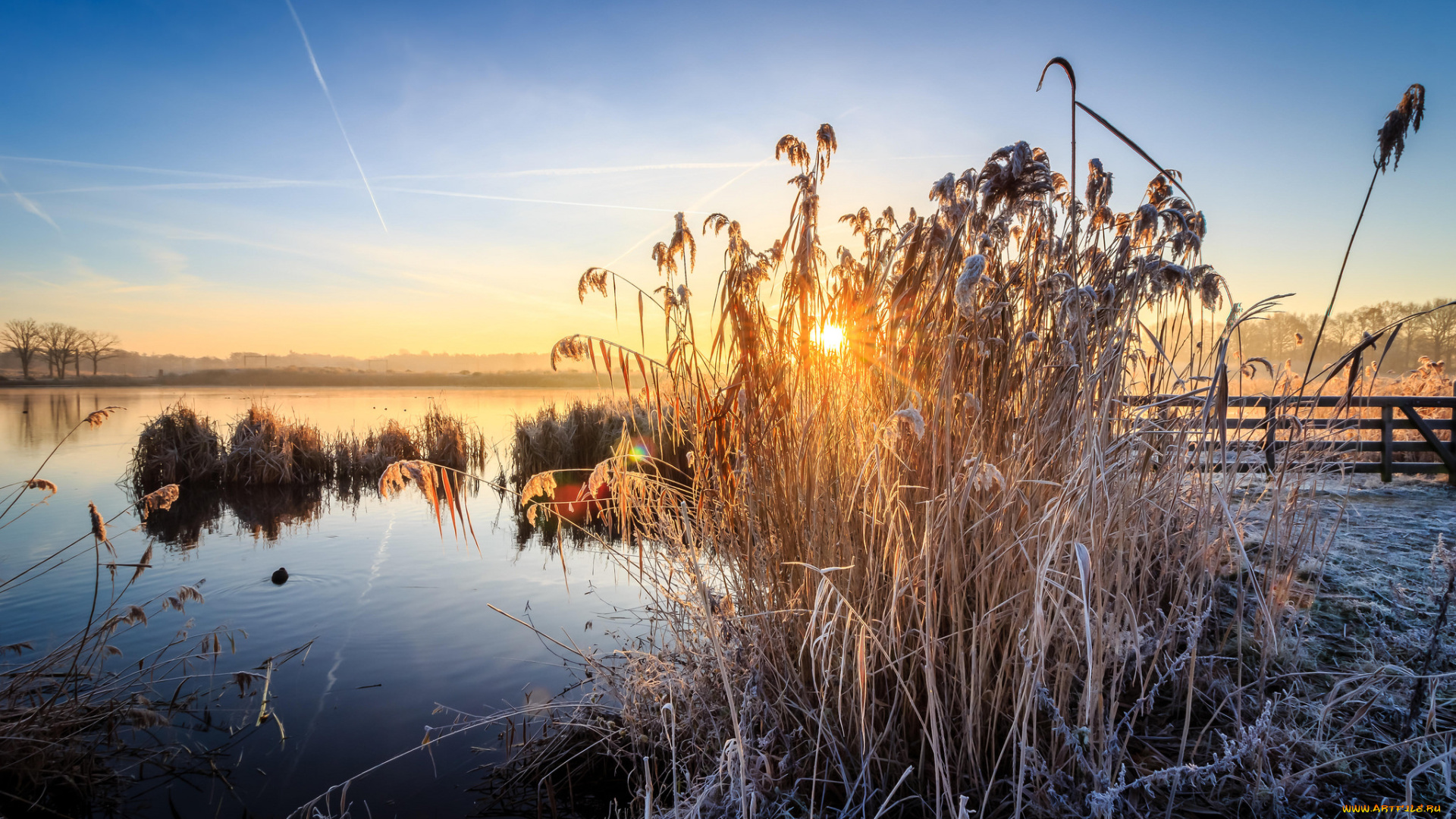 природа, реки, озера, простор