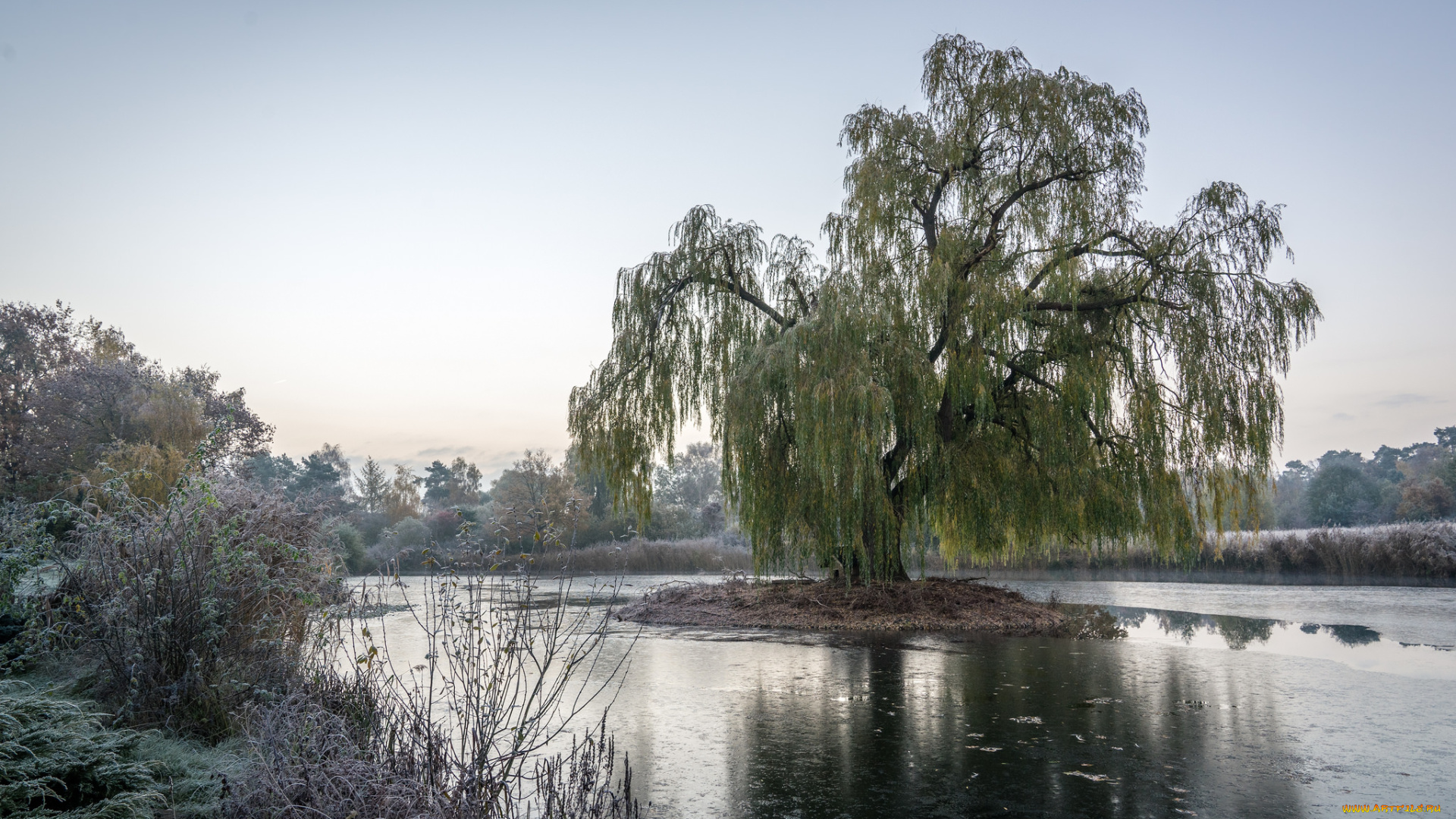 природа, реки, озера, простор