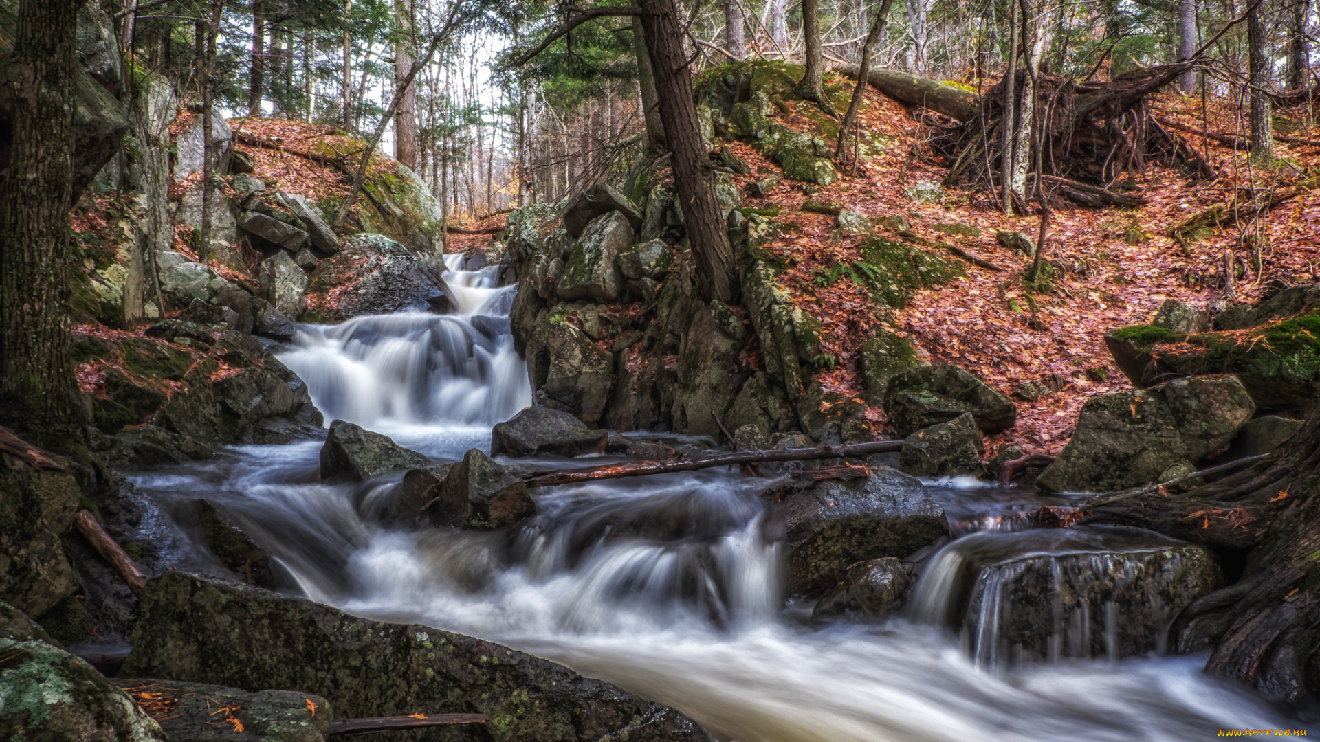 природа, реки, озера, простор