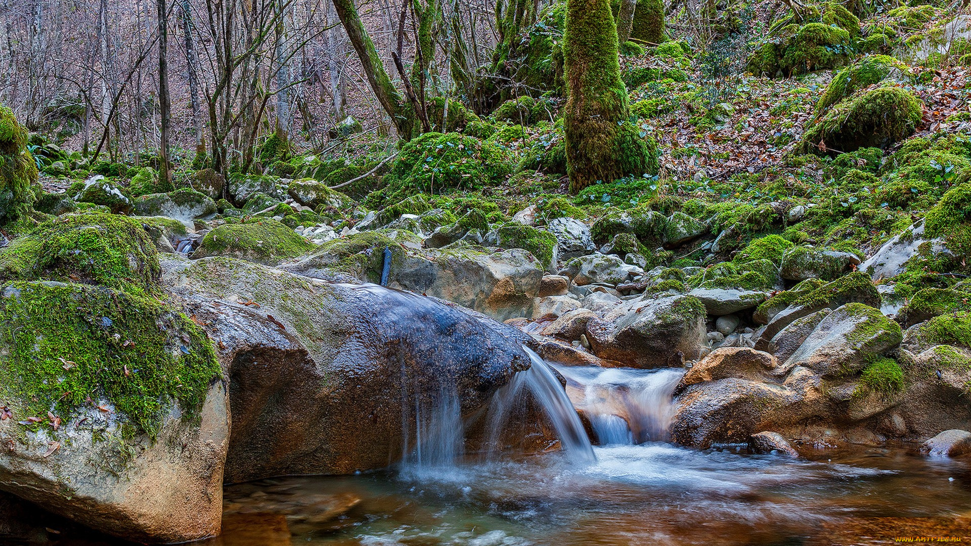 природа, реки, озера, простор