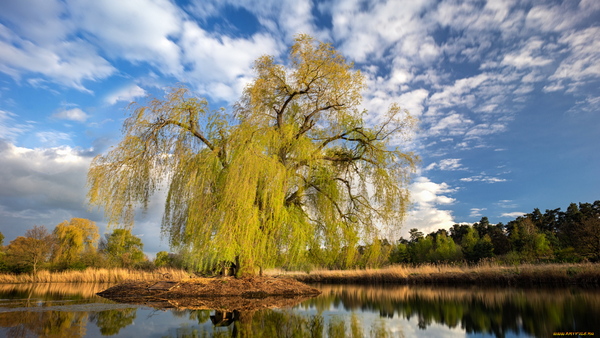 природа, реки, озера, простор